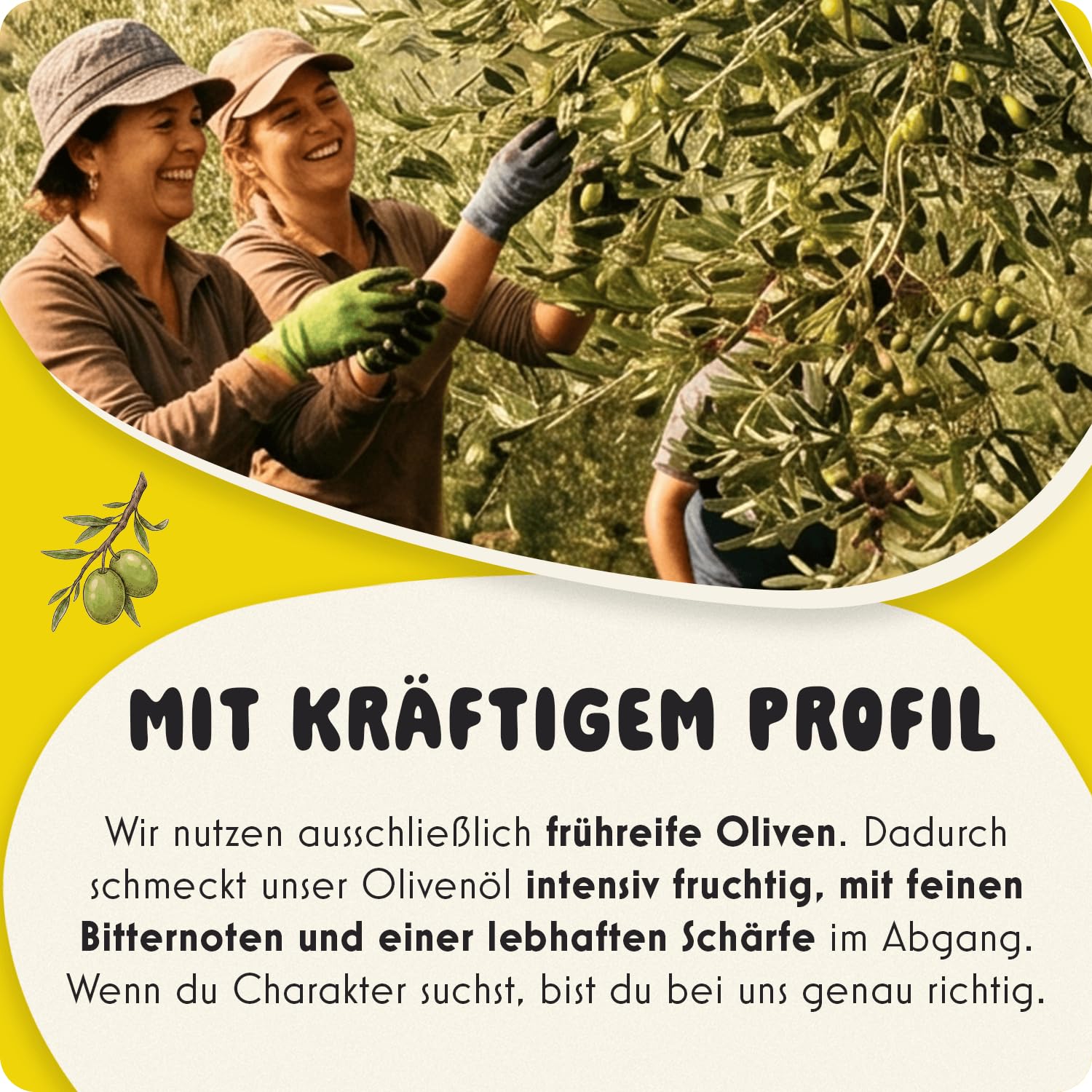 Utry.me Olivenöl kaltgepresst 4x250ml - extra nativ - Probierset griechisches Olivenöl verfeinert mit Basilikum, Zitrone, Orange & Oregano – mit Dosierkappe, inkl. UTRY.ME Gutschein