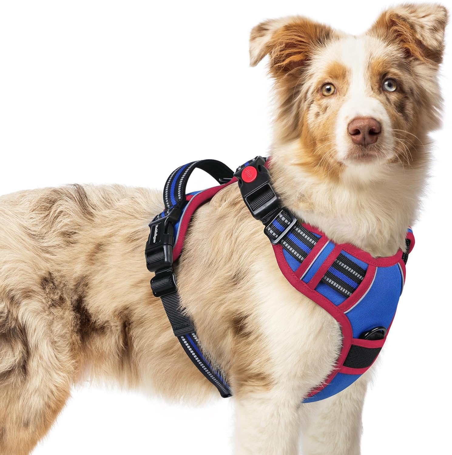Rabbitgoo No-Pull Dog Harness, Adjustable Outdoor Pet Vest for Small Medium Large Dogs, Easy Control for Walking Training with 2 Metal Leash Clips, Blue, Medium