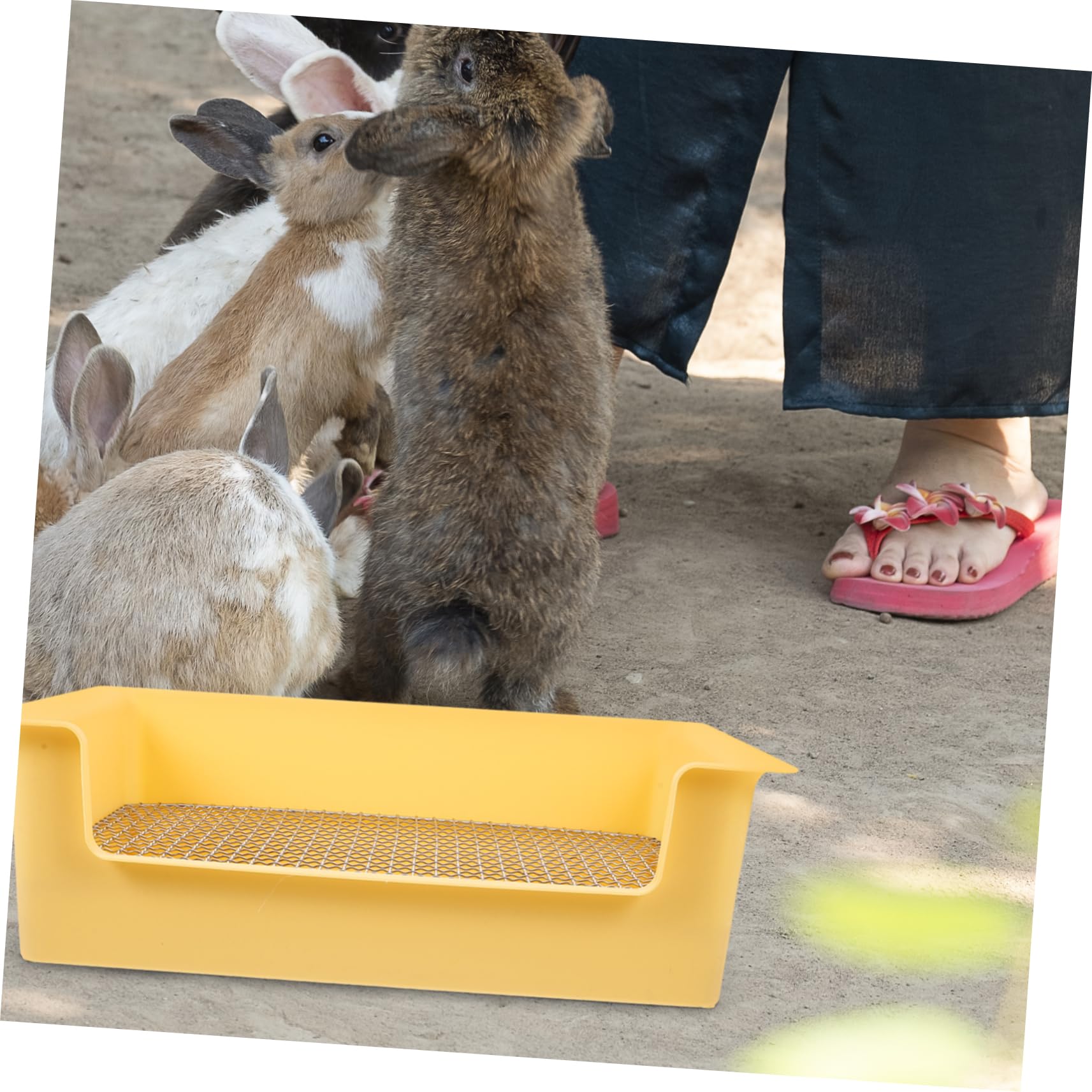 Abaodam Lettiera per Conigli Piccoli Animali Vaschetta per Furetti Porta Tappetino Assorbente Lettiera per Criceti