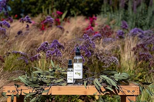 Miniatura 8 de EuroSpa Aromatics Pure Eucalyptus Oil ShowerMist and Steam Room Spray, All-Natural Premium Aromatherapy Essential Oils - Pure Eucalyptus, 8oz