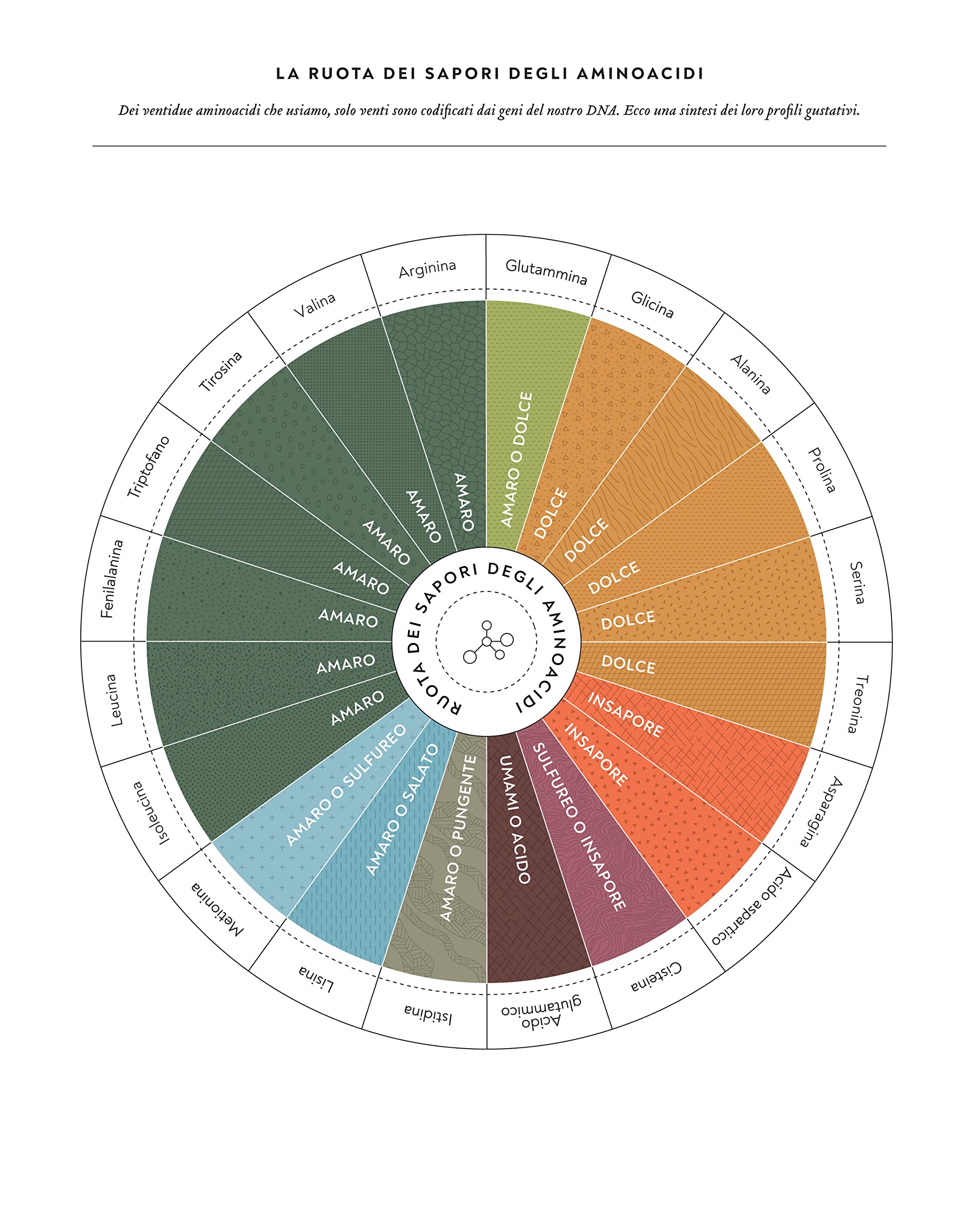 L'equazione del gusto. La scienza della grande cucina. Con oltre 100 ricette indispensabili. Ediz. a colori