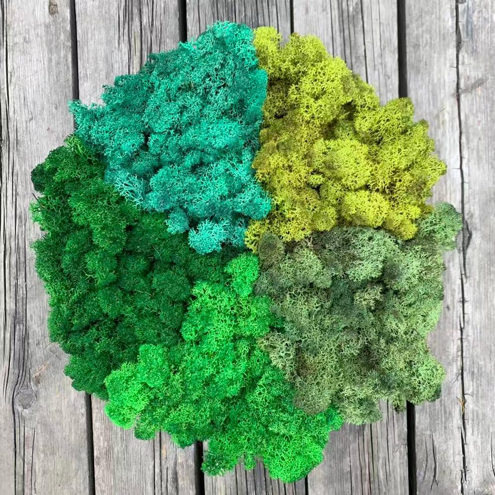 Prefleur Preserved Reindeer Mix Craft Moss Natural Green DIY Kit Gardenning Art Wall Decor Florist Easter Table Decor Wedding Decor (1lb)(Green-9 Green-8 Green-10-2 Green-5 Green-14)(Style-28)