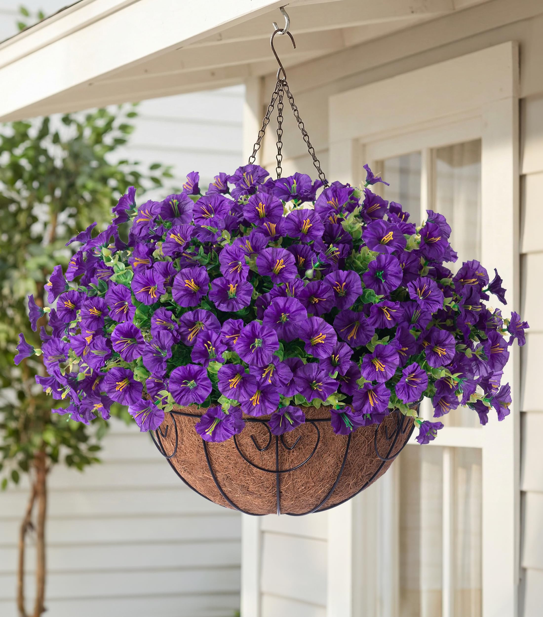 HyeFlora B Purple Hanging Basket