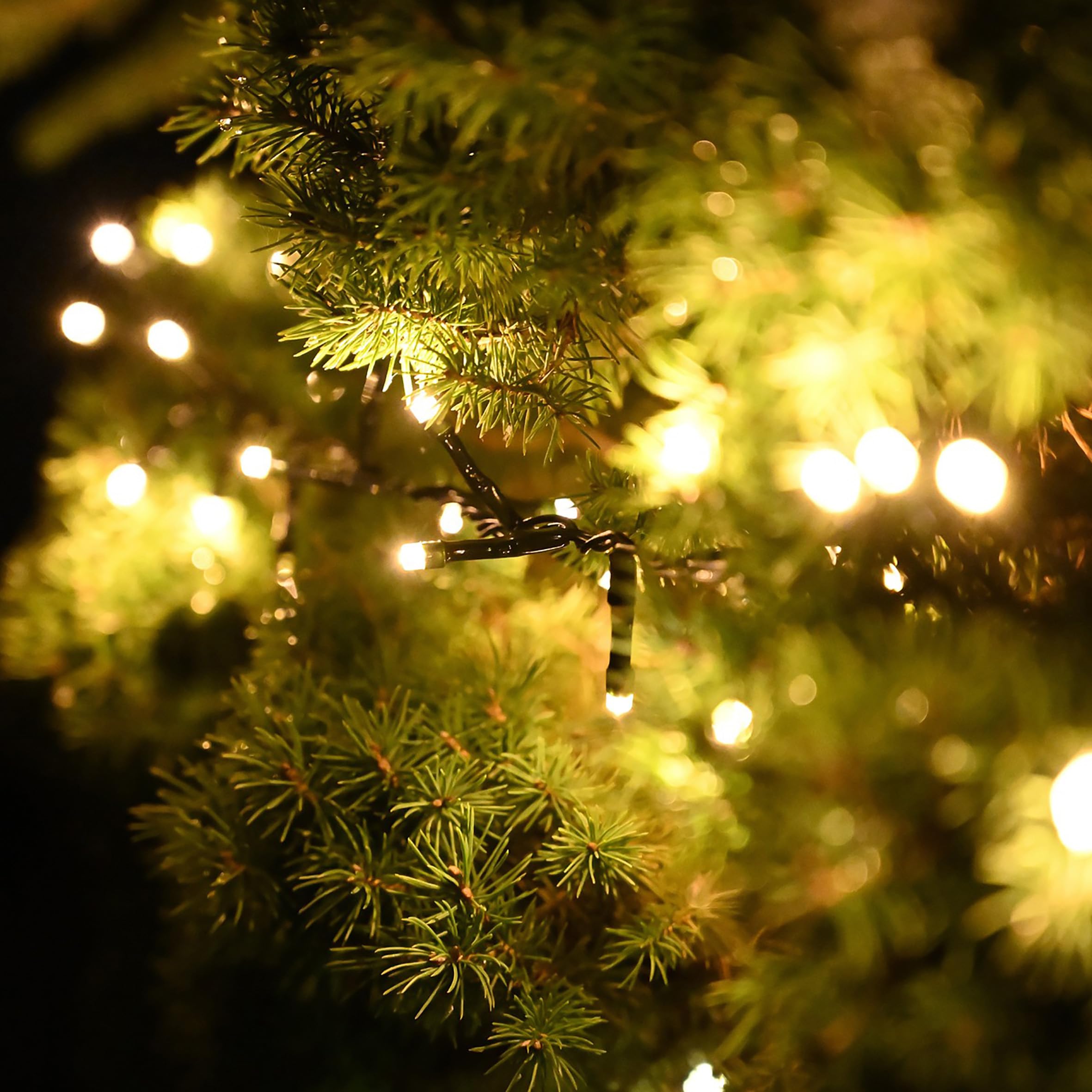 Spetebo Büschel Lichterkette Außen warm weiß 25 m 1920 LED mit Timer | Netzstecker, 8 Funktionen, Outdoor Weihnachtslichterkette, Wasserdicht, Garten Deko Weihnachtsbaum
