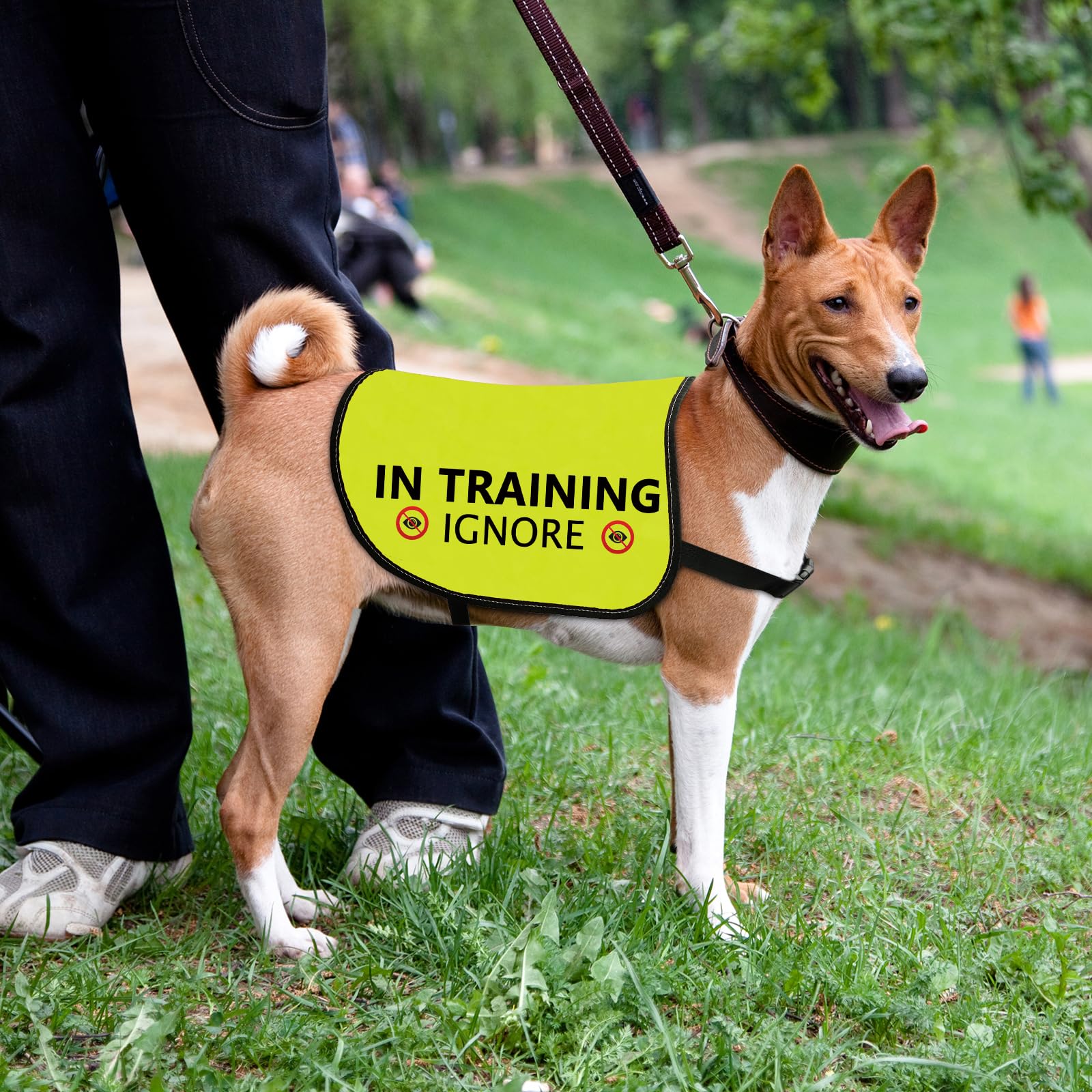 Training Hundejacke Weste Ignorieren Hundeweste Hund Walking Slogan Warnweste (in Training Ignorieren-Large)