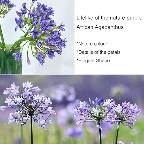 Miniatura 5 de TOPIA Agapanthus - Agapanthus artificial de agapanthus artificial de agapanto, lirio afreciano sintético, tallo de flores de Agapanthus (6 piezas)
