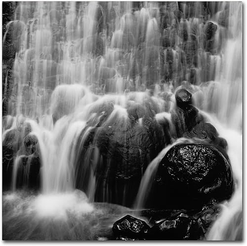 Velo De Novia por Moises Levy, lienzo decorativo para pared, 24 x 24 pulgadas