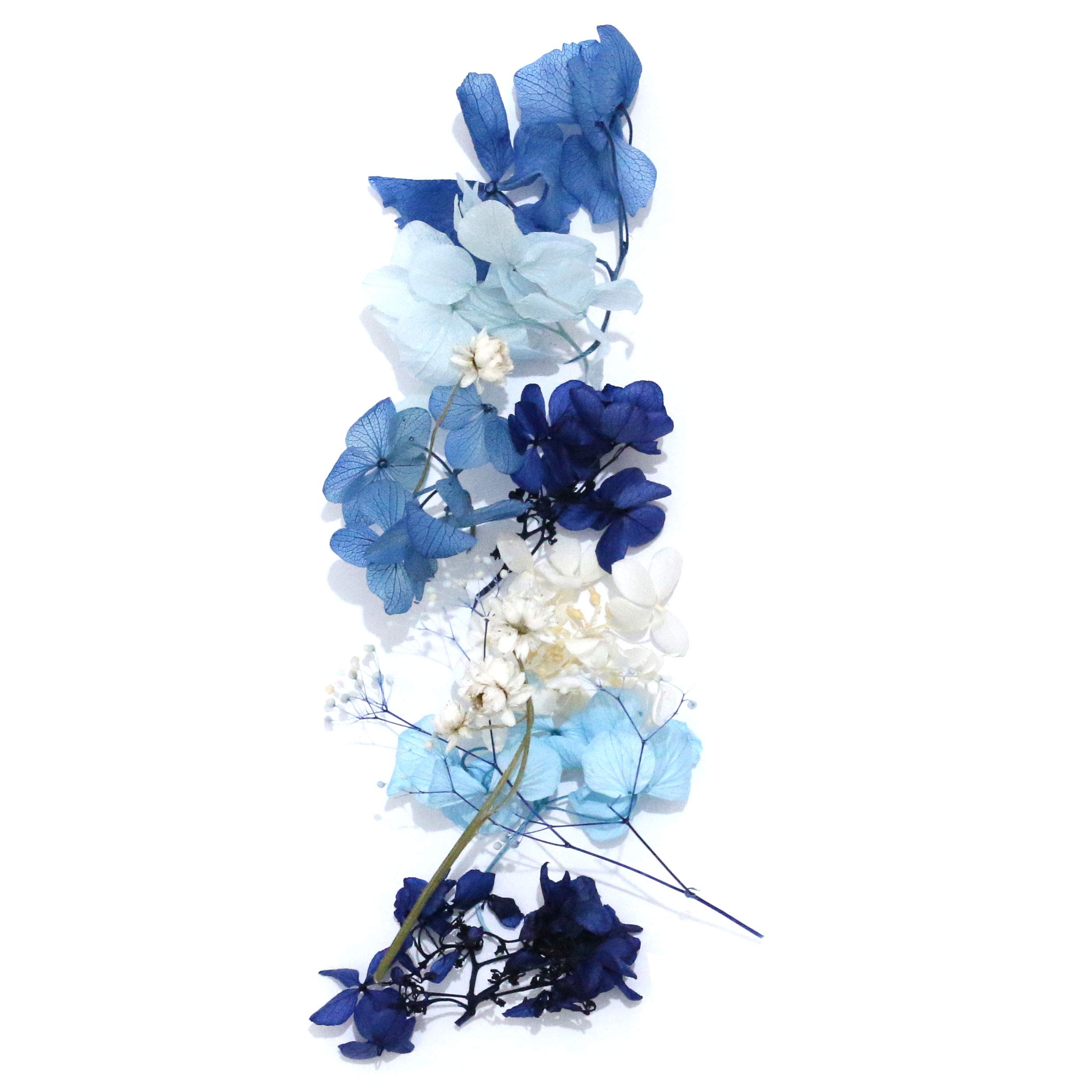 Amazon｜ハーバリウム花材セット1本分（Restroom）｜プリザーブド