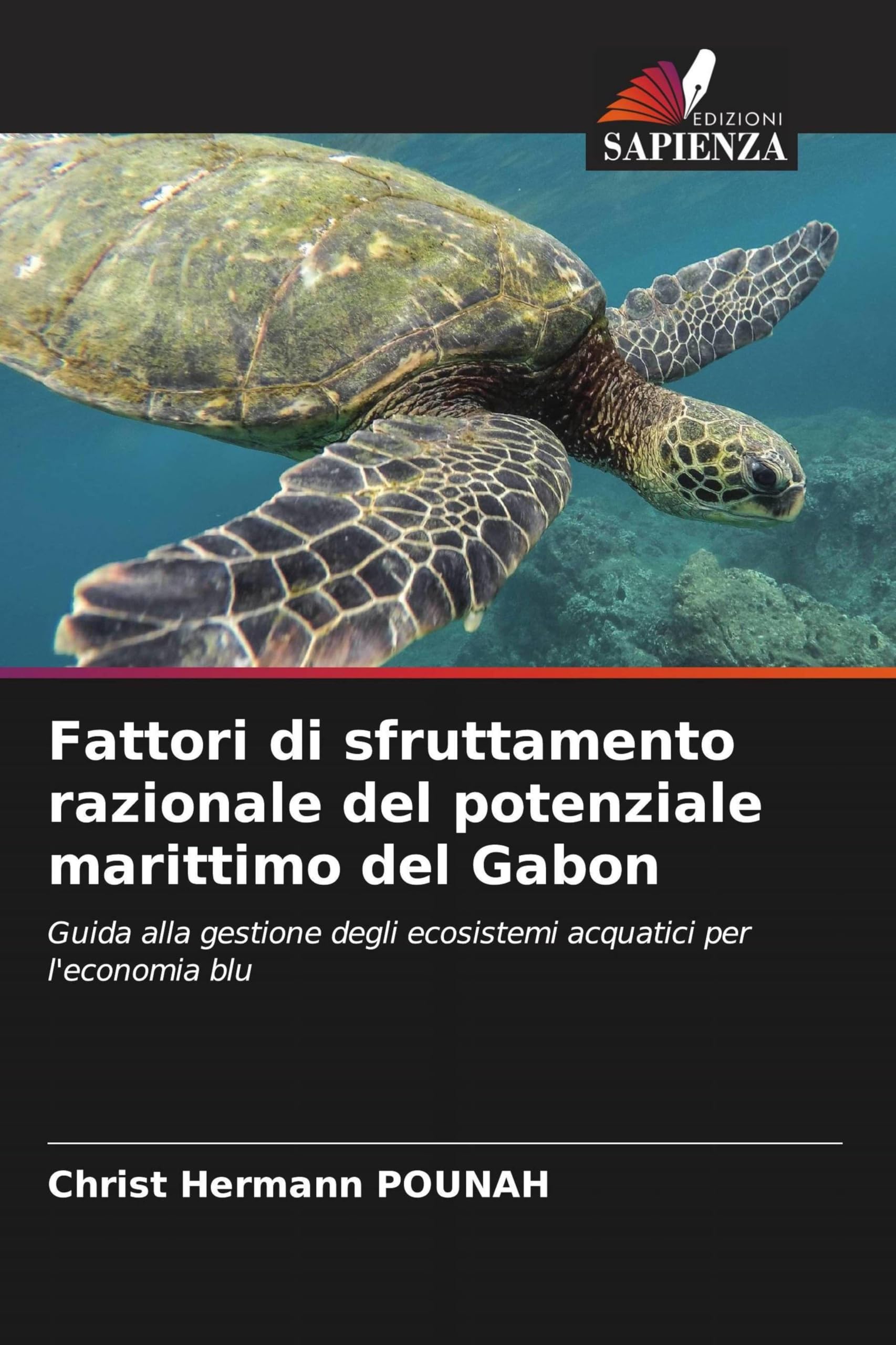 Fattori di sfruttamento razionale del potenziale marittimo del Gabon: Guida alla gestione degli ecosistemi acquatici per l'economia blu