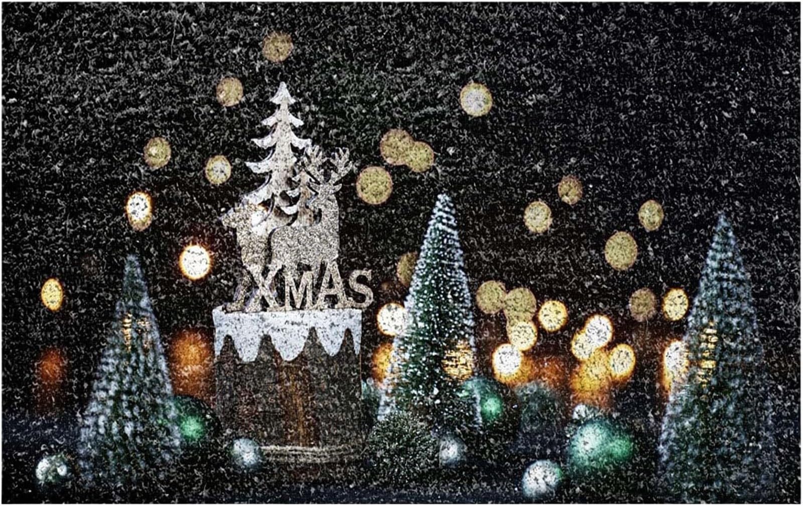 Felpudo Casa Felpudo para Puerta, Temporada Navideña, Regalo De Inauguración De La Casa, Decoración Navideña, Tapete De Bienvenida Navideño Felpudo Entrada Casa(A,50x80cm)