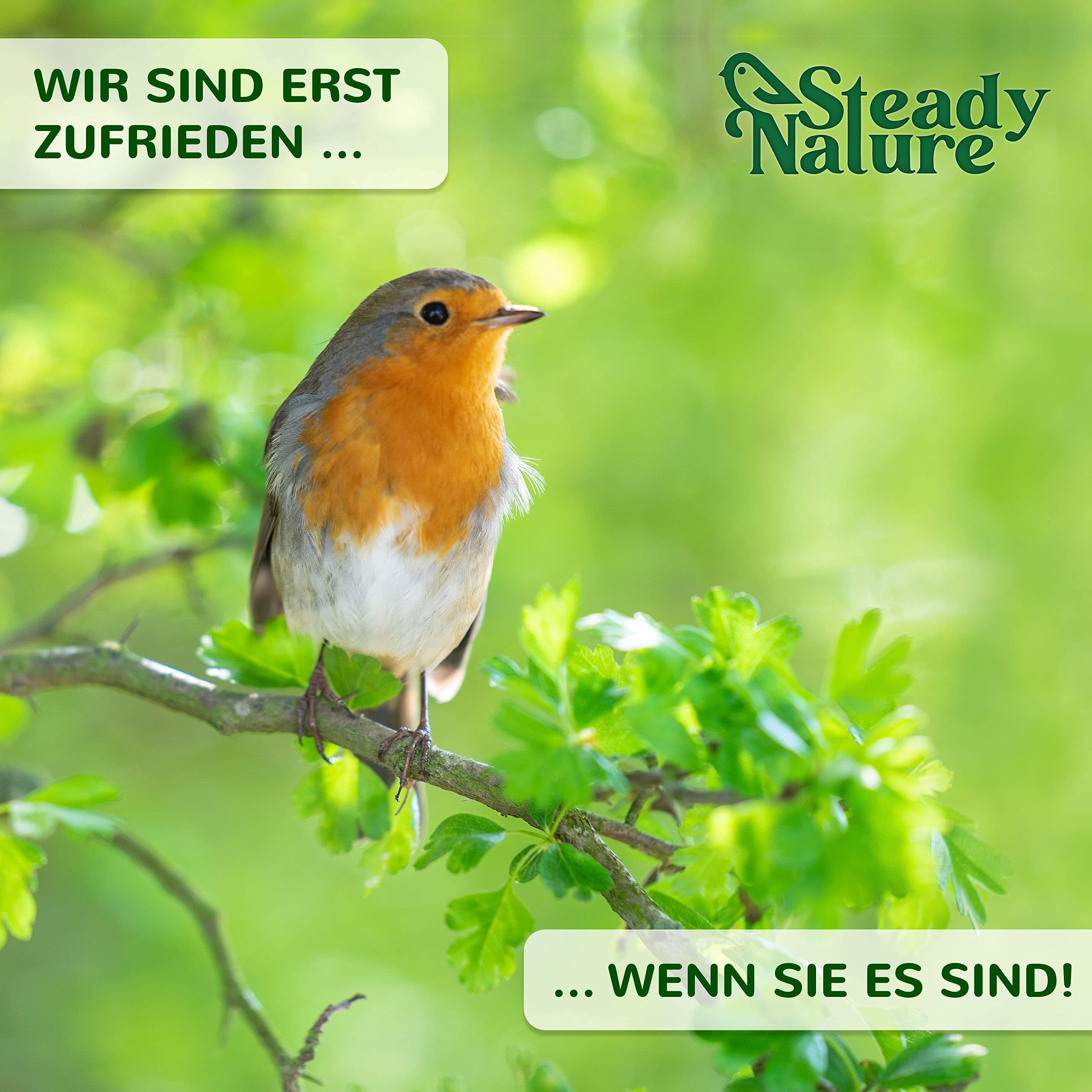 Steady Nature Nistkasten Rotkehlchen und Rotschwänzchen - Nistkästen für Vögel für draußen wetterfest - Halbhöhle Vogelkasten – Vogelhaus Rotkehlchen - Vogelnistkasten – Brutkasten für Vögel