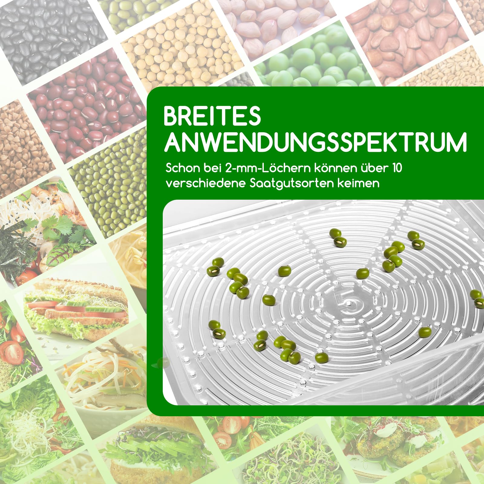 Boîte de germination à 4 étages avec couvercle et bac de récupération | Sprossen Germinateur empilable pour microgreens, pousses de haricots, alfalfa, cresse, herbe de blé, brocoli et haricots Mung