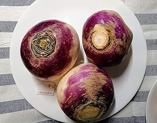 Hundredfold Purple Top White Globe Turnip 400 Vegetable Seeds for Planting - Brassica rapa Non-GMO Heirloom Grow-Your-Own Grow Your Own Survival Food, Fresh Seeds Can Be Stored for 4 Years, Excellent for Microgreen, Packed & Shipped in Canada