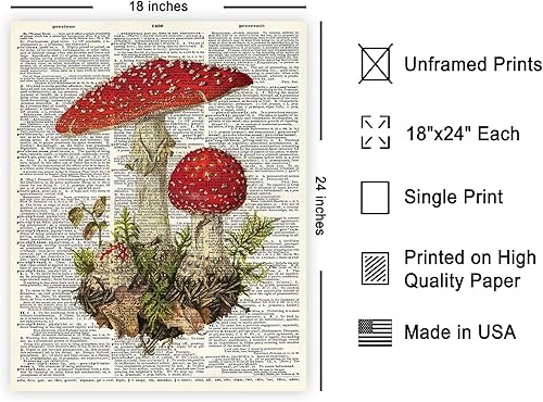 Miniatura 557 de Poster Master Póster vintage de orquídea, estampado de flores retro, arte de pared de plantas exóticas, arte botánico, regalo para hombres y