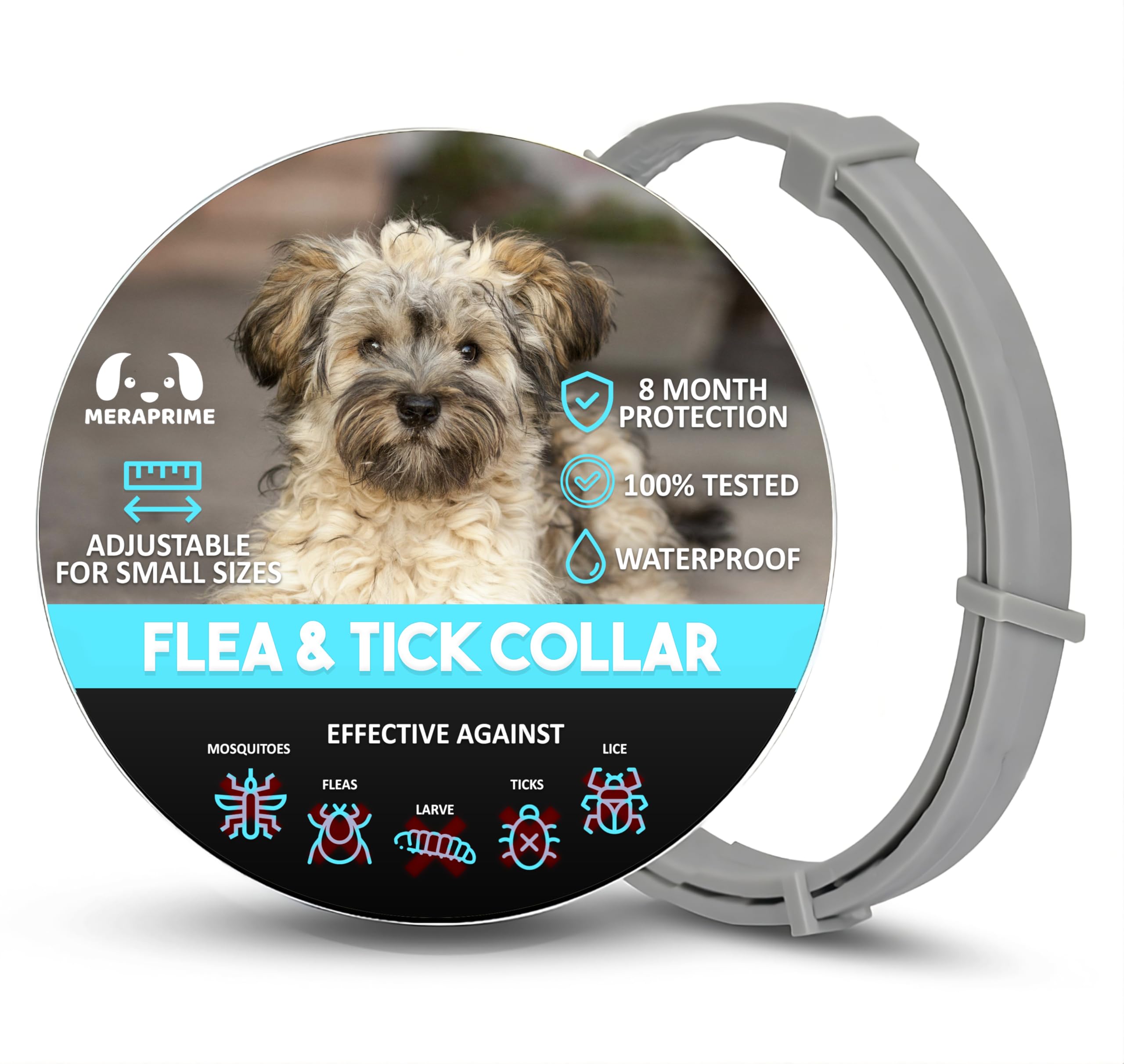 Collar Antiparasitario Perros | Collar Leishmaniosis (Mosquitos), Pulgas y Garrapatas | Antipulgas y Garrapatas Perros Medianos y Pequeños | 38cm Ajustable, 8 Meses, Vegetal, Impermeable