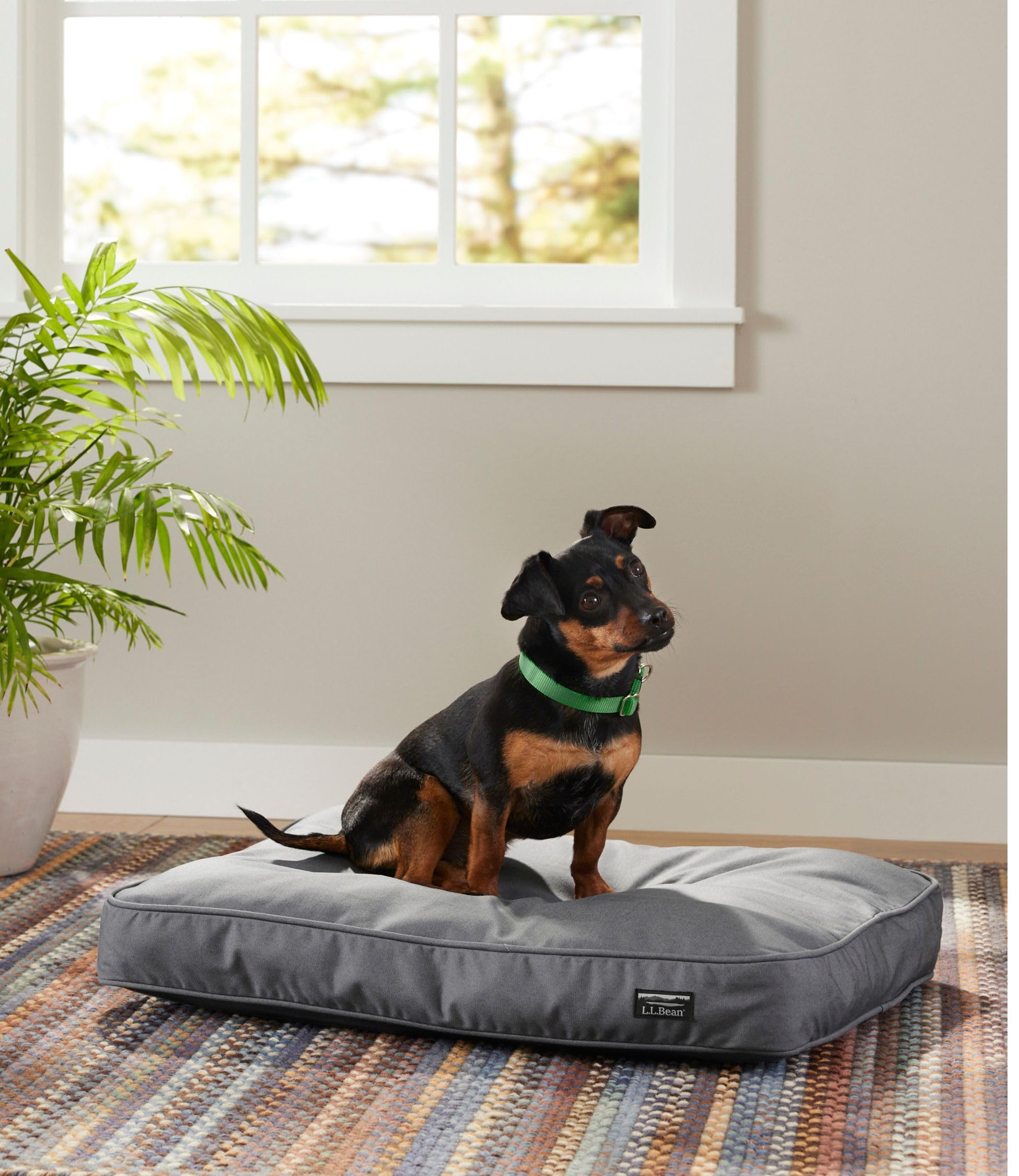 Amazon.co.jp: L.L.Bean（エルエルビーン） プレミアム・デニム