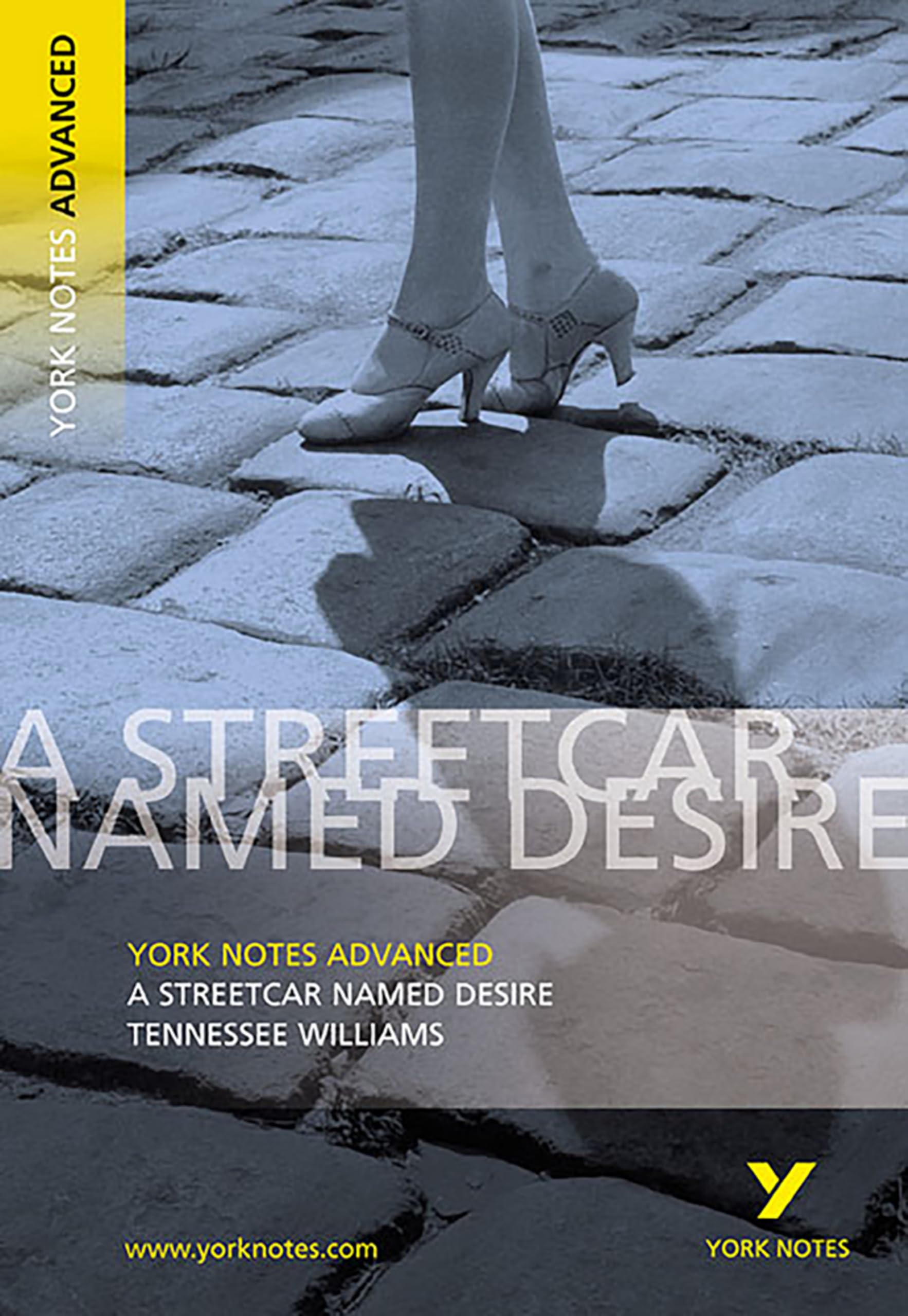 Streetcar Named Desire: York Notes Advanced - for 2026, 2027 exams: everything you need to catch up, study and prepare for 2021 assessments and 2022 exams Paperback – 5 Sept. 2003