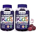 Feel Great Kids Elderberry Gummies with Zinc and Vitamin C (2-Pack) | Immune Support Sambucus Elderberry | Berry Flavored Vegan Multivitamins | 90 Count