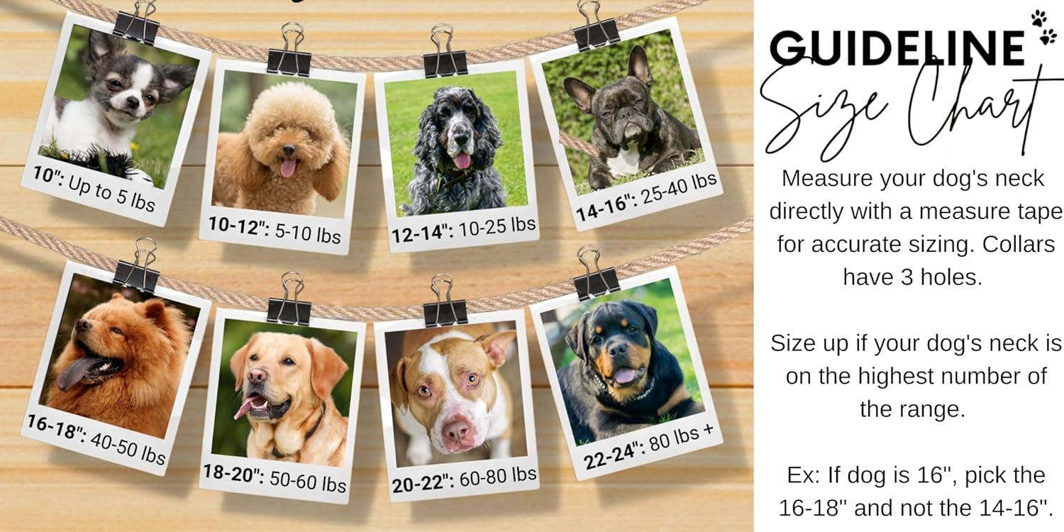 Sambboho- Rolled Dog Collar Saint Barth, Beaded Genuine Leather for All Dog Sizes, Soft Round for Puppy Small Medium Large Dogs, Black Leather (16-18", White)