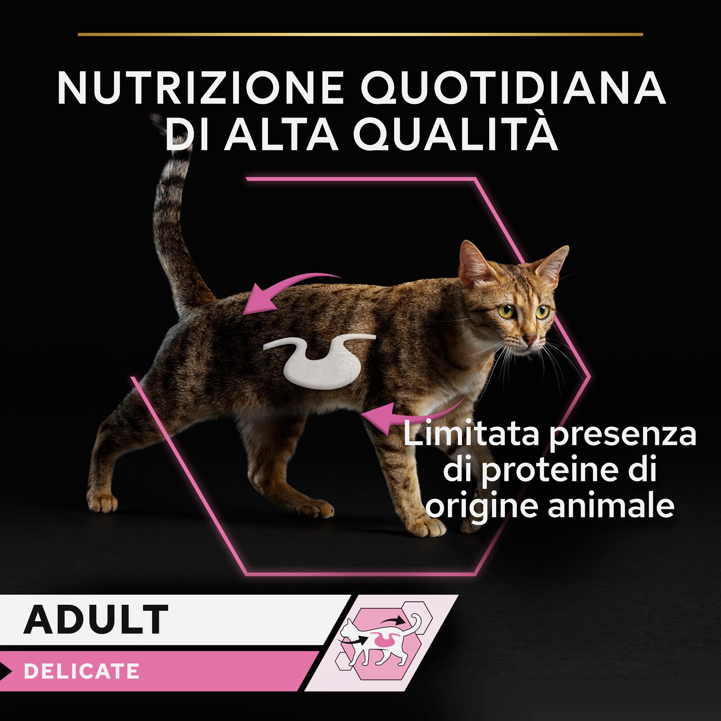 Purina Pro Plan Comida Húmeda para Gato Adulto Delicate Mousse Rico en Pavo, 24 latas de 85 g