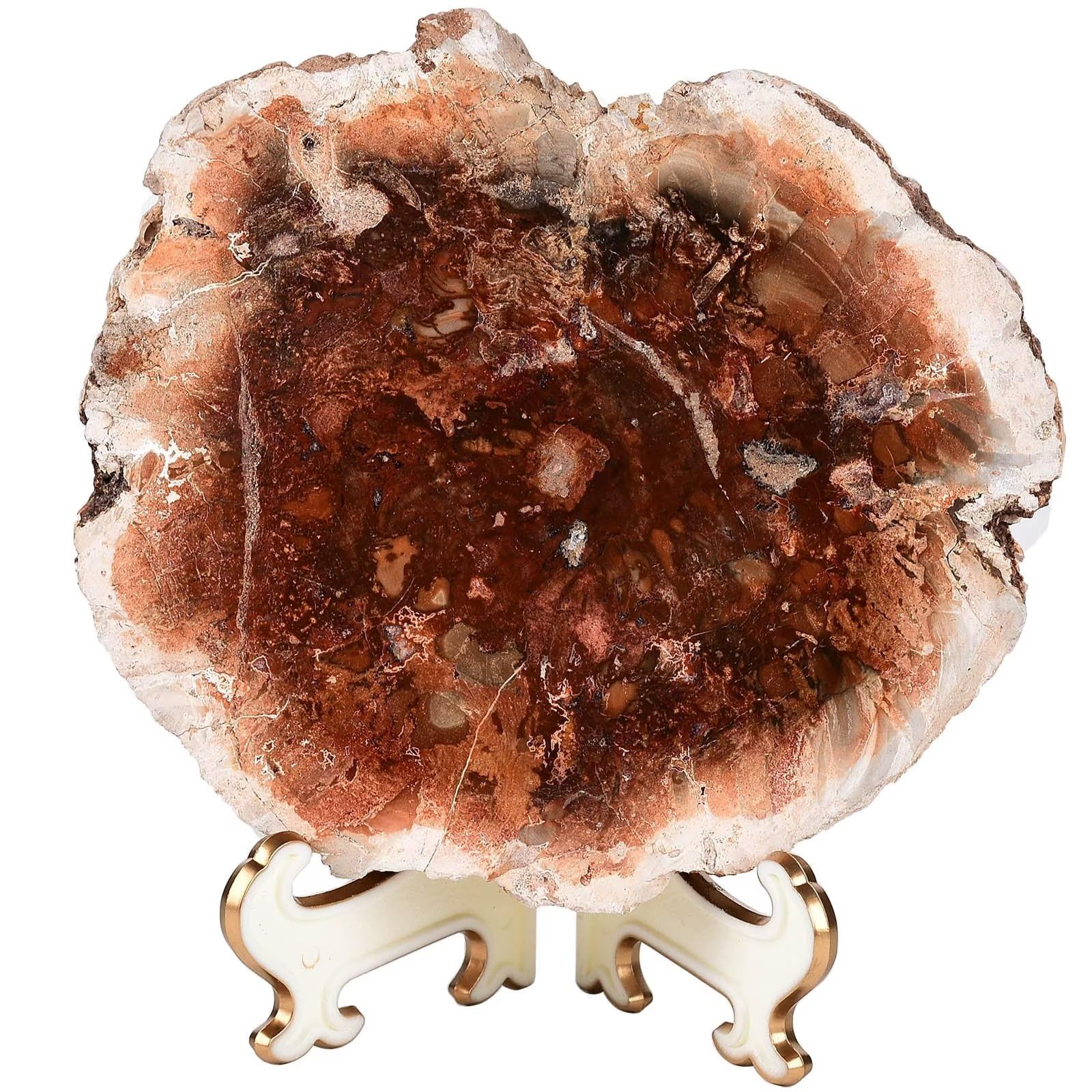 AMOYSTONE Large Petrified Wood Stone Plate Decorative Healing Crystal Slices Quartz Pieces with Stand Office Home Decor Reiki Healing Gifts 0.8-1.1 Pound