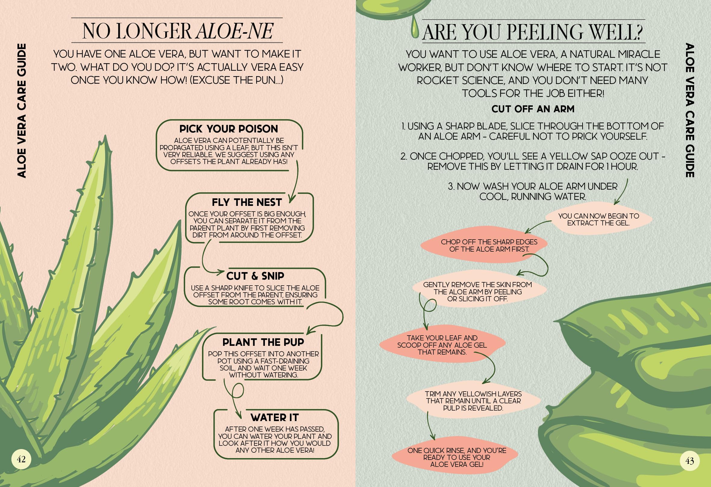 Houseplant Survival Guide - Tips and Tricks for Keeping Your Plants Alive
