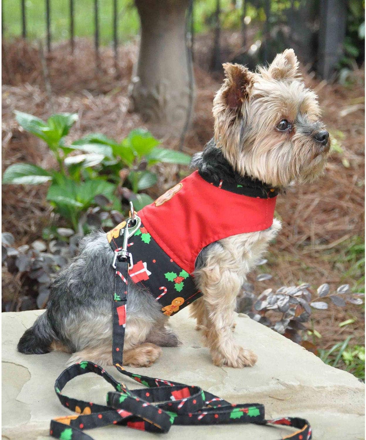 DOGGIE DESIGN Gingerbread Fabric Harness with Matching Leash (Small)