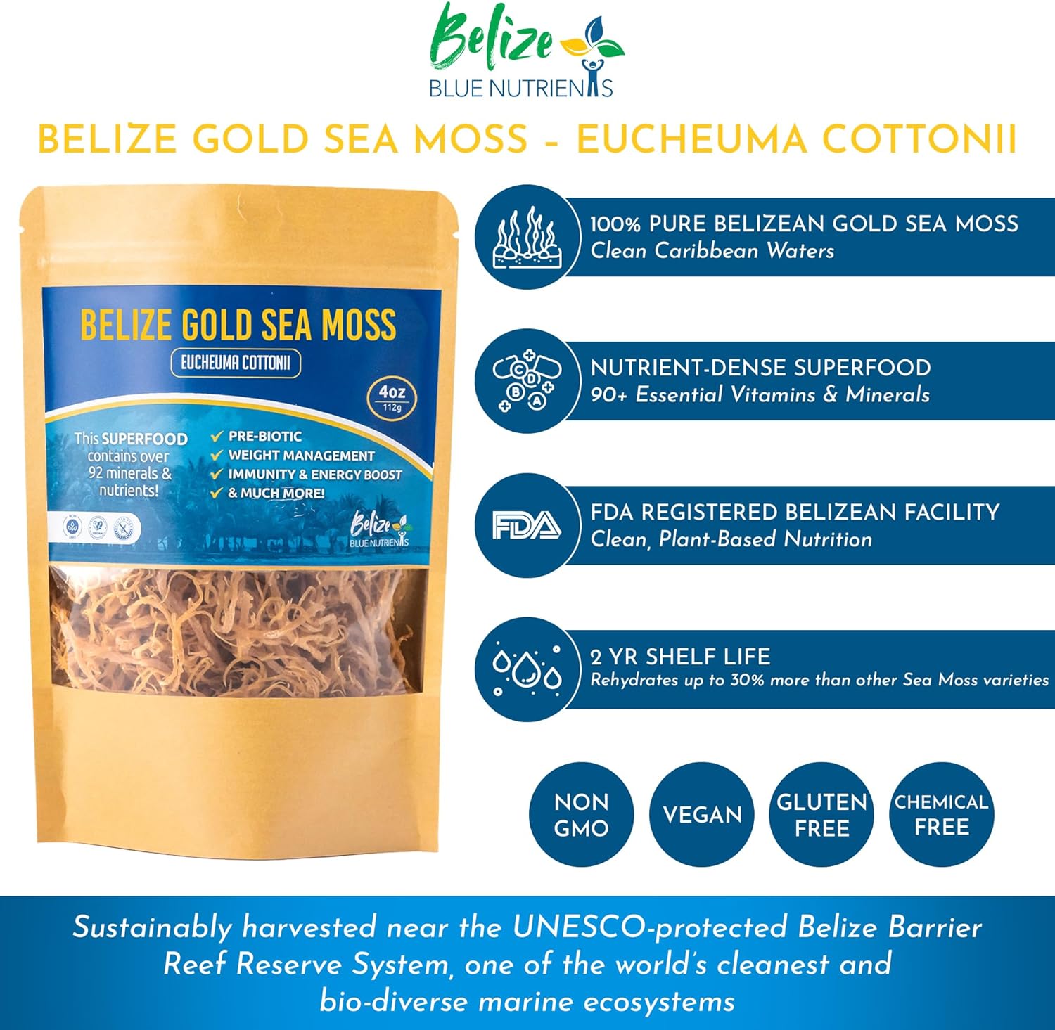 Belize Blue Nutrients – Gold Sea Moss – Pure Eucheuma Cottonii from Belize Barrier Reef – Raw Mineral-Rich Superfood for Energy, Digestion, Immunity, Skin & Joint Health – 4oz