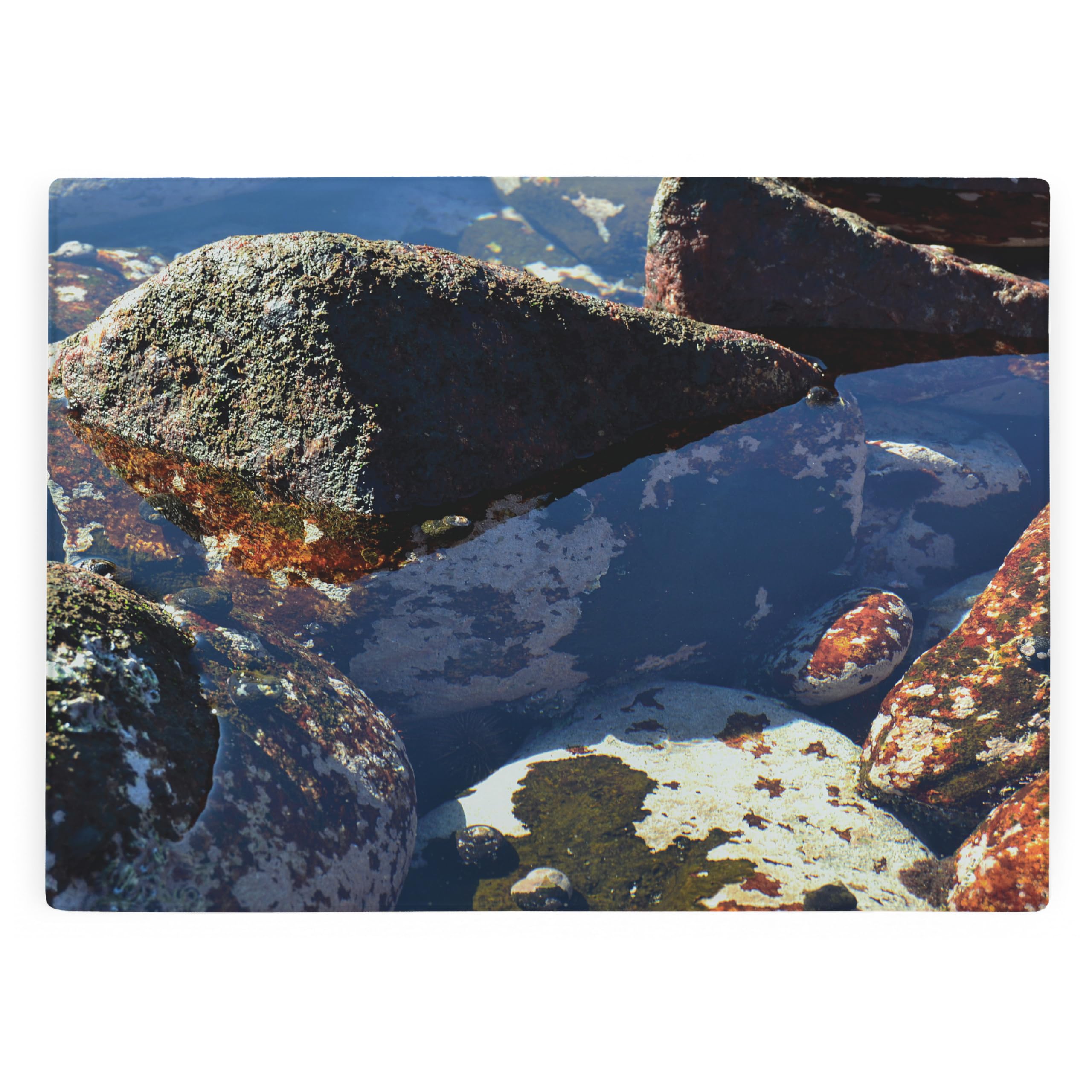 Rockpools Large Rectangular Glass Worktop Protector - Coastal Seaside Gift - Smooth Board Kitchen Chopping/Cutting Board Worktop Saver with Non-Slip Feet 39cm x 28.5cm (15" x 11")