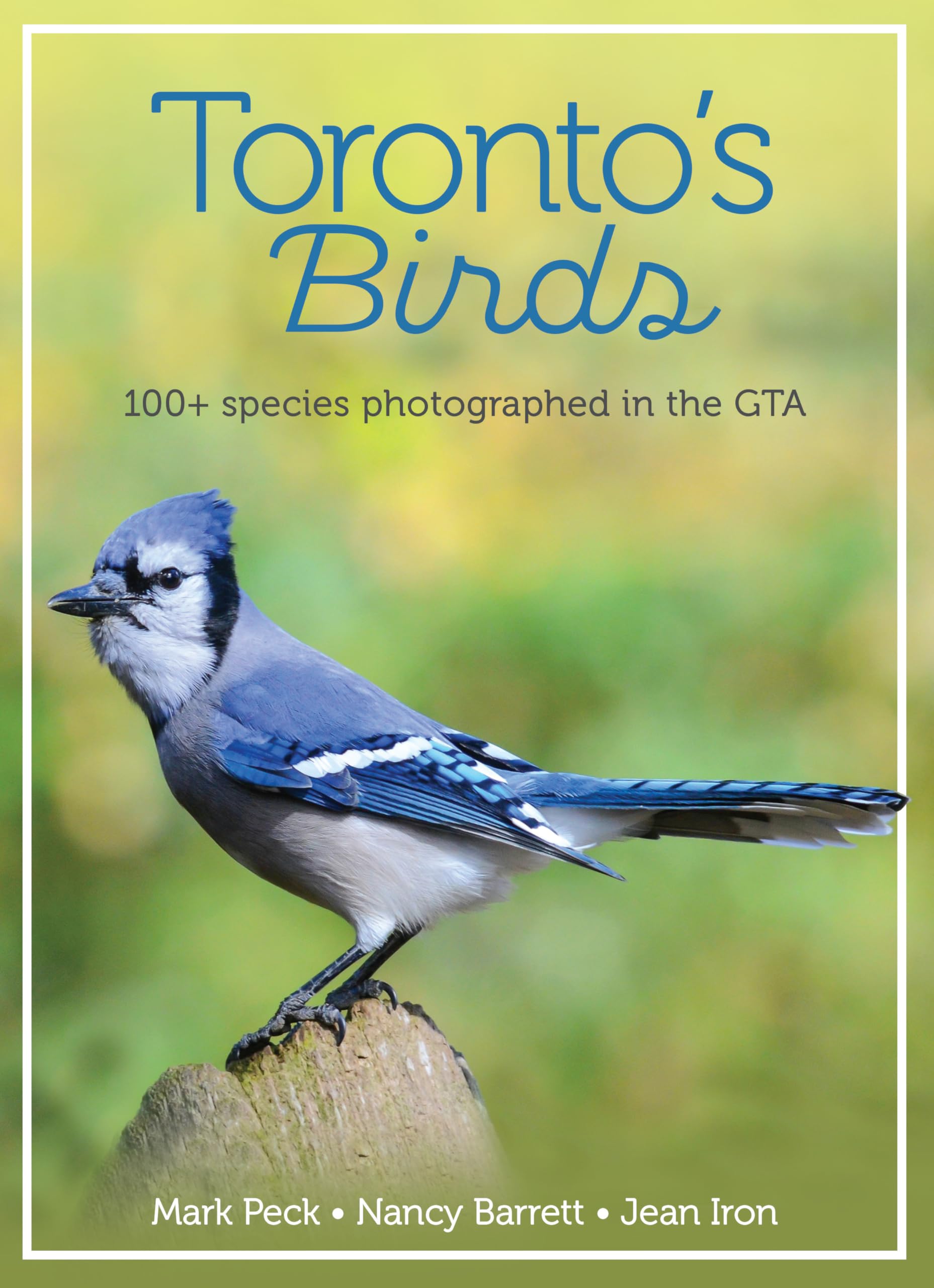 Toronto's Birds: 100+ species photographed in the GTA: Peck, Mark