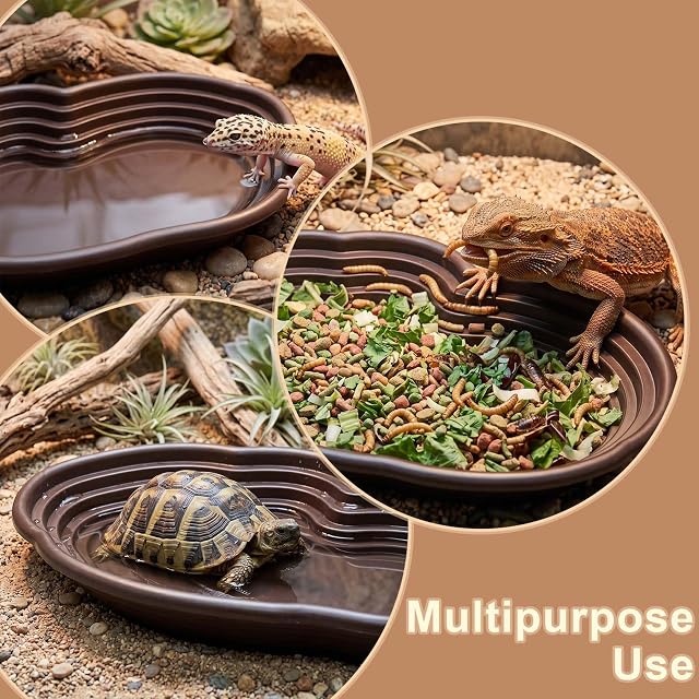 Foto 6 de 6 de Comedero para reptiles,Cuenco de Agua para Tortugas,Tortugas cuenco de agua,Bandeja para Tortugas,Reptiles…