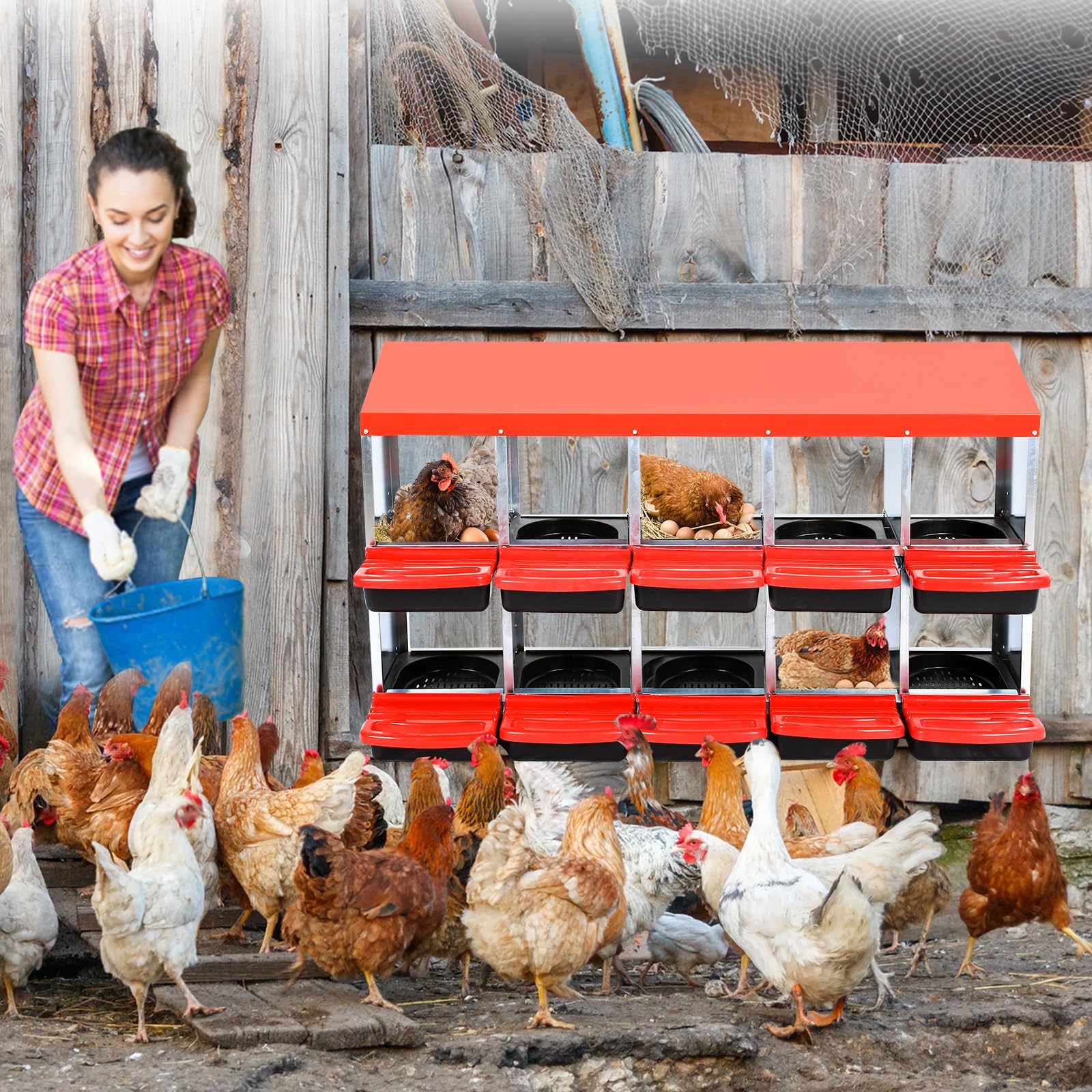 Nido Professionale Per Galline – 8/10 Scomparti in Metallo, Montaggio a Parete, Cassetti Estraibili, Facile Pulizia, Protezione Ottimale Delle Uova – Ideale Per l’Allevamento e