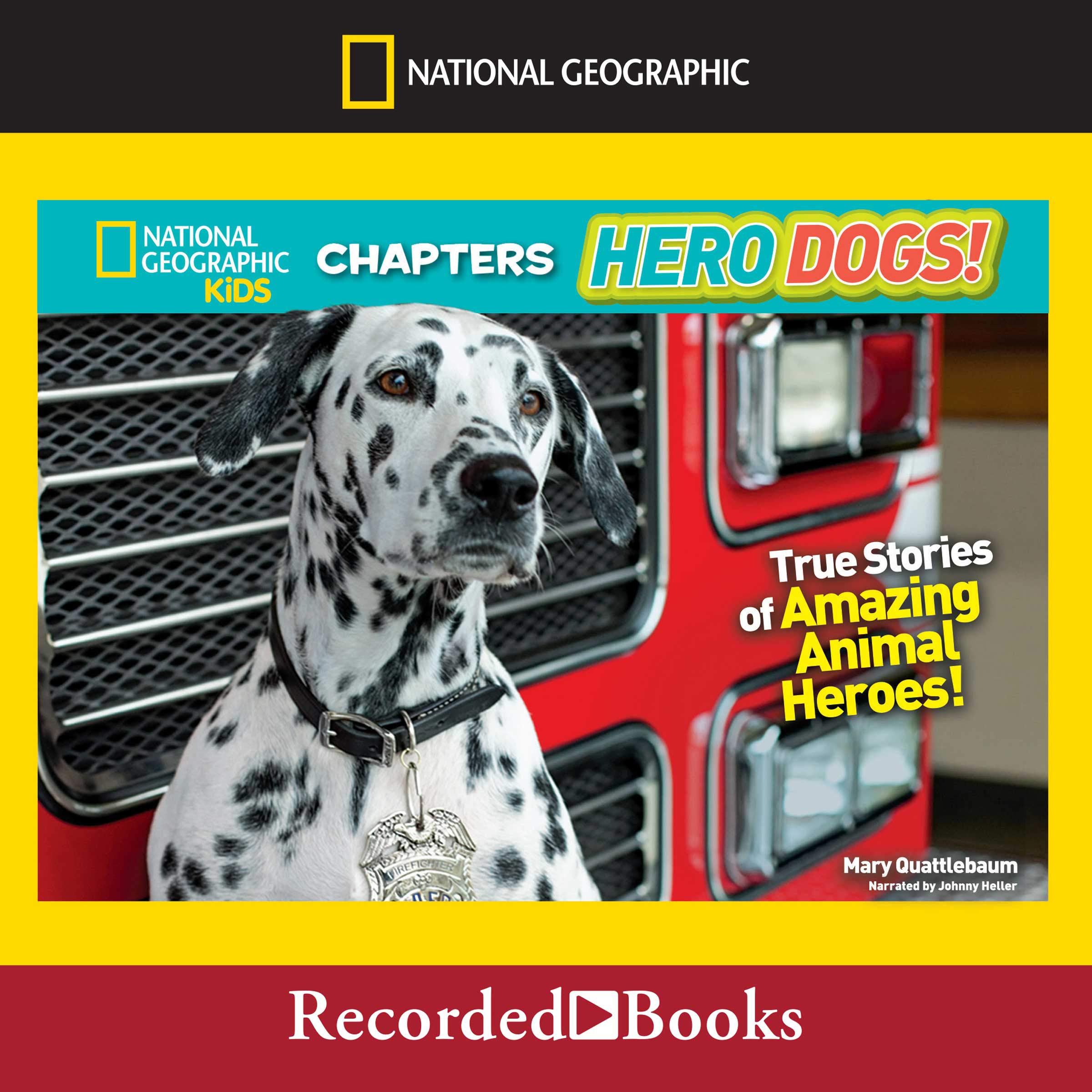 Cover art for National Geographic Kids Chapters: Hero Dogs!