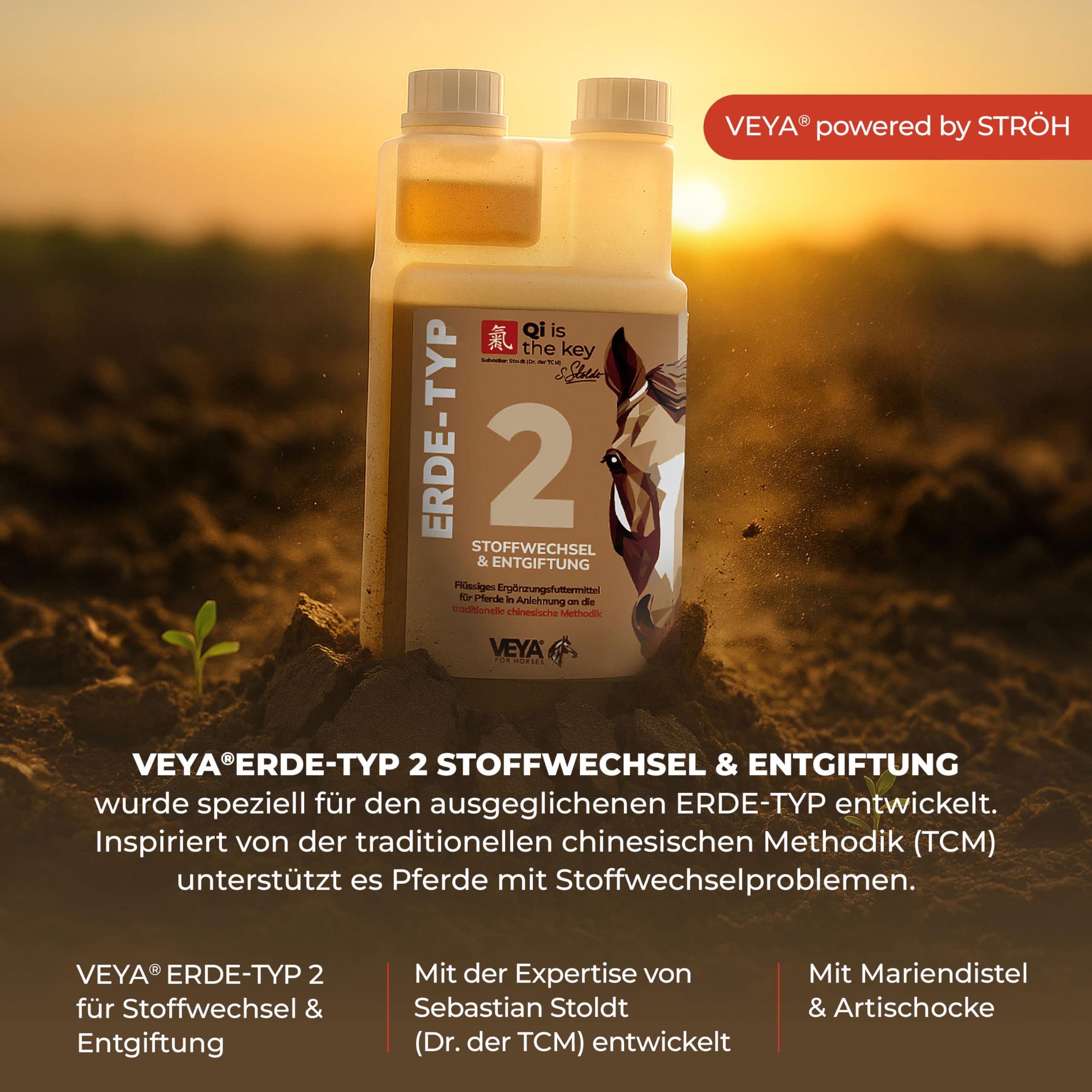 VEYA® by STRÖH Erde-TYP 2 Stoffwechsel & Entgiftung Liquid Pferde (1L) • Stoffwechsel Kräutersaft für Leber & Nieren • Mit Mariendistel & Artischocke • Für Erde-Typ Pferd • Made in Germany