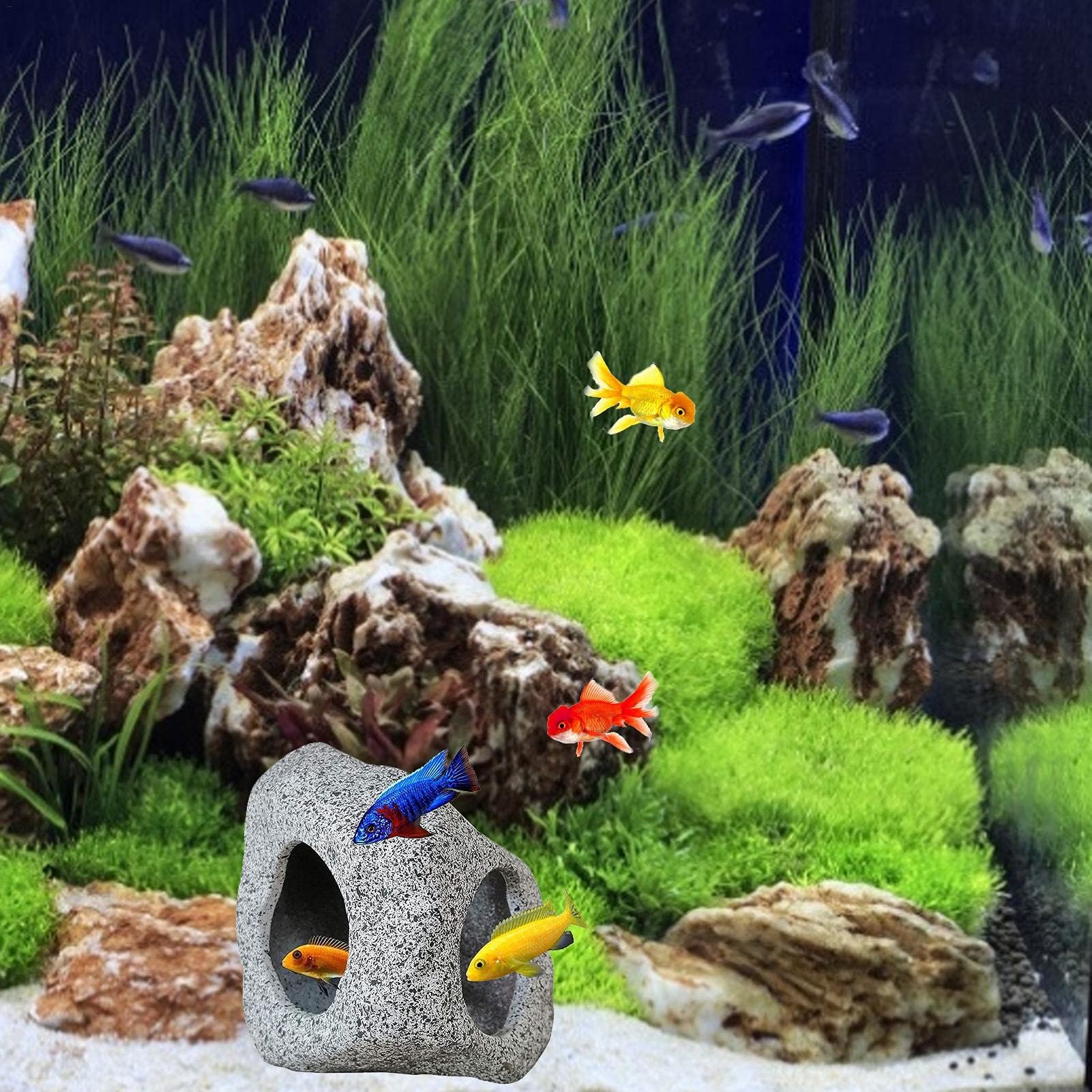 クラウンアクアオブジェ Amazon.co.jp: HADWAO アクアリウム 水槽オブジェ アクアリウム