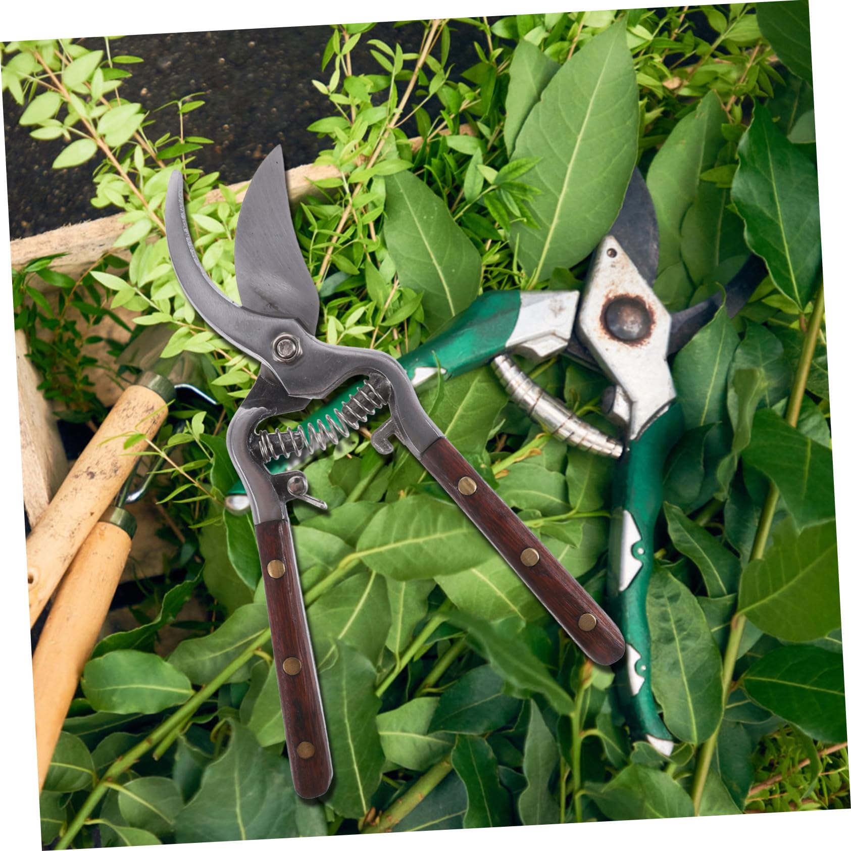 Gartenschere Astschere Schneidwerkzeug Aus Kohlenstoffstahl Für Gartenarbeit Robust Und Langlebig Für Einfaches Trimmen