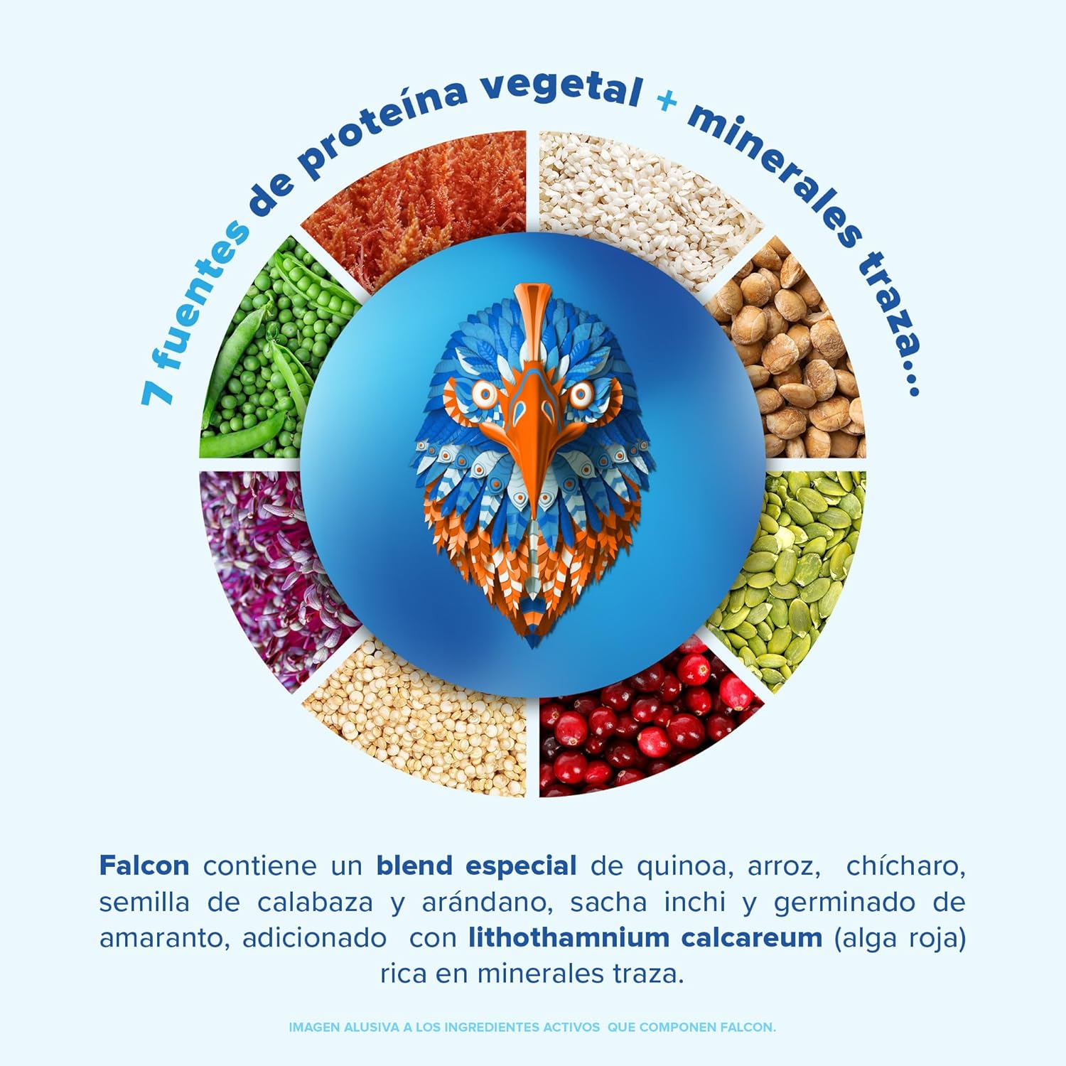 Birdman Falcon Protein Proteina Vegetal Organica En Polvo (Vegana) Certificada USDA, 22gr Proteina por porción, Sin inflamacion, Sin acne, Sabor Chai | 39 servicios | 1.170kg