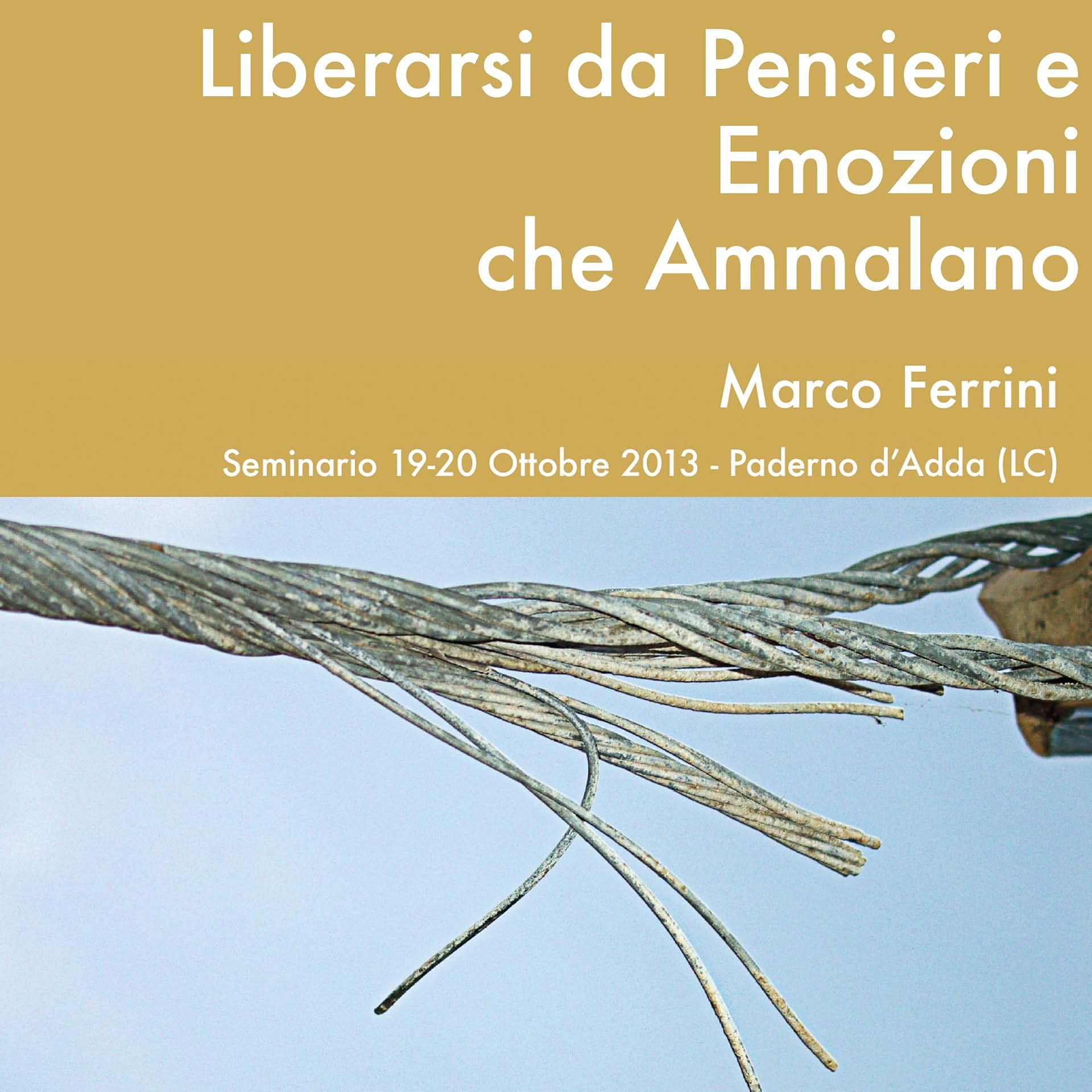 cover-image