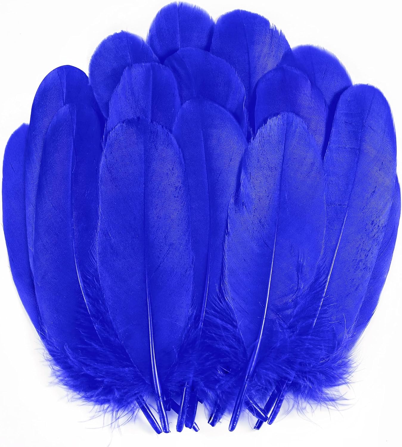 Holmgren Royal Blue Goose Feathers - 200pcs 5-7inch Natural Goose Feather Bulk for Crafts DIY Cosplay Wings Wedding Party Halloween Decoration (Royal Blue)