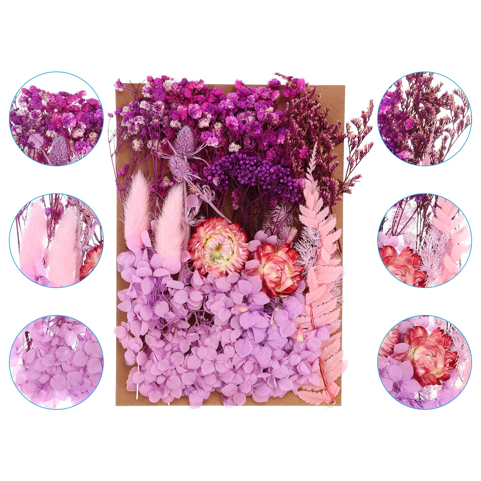 PATIKIL Pressed Flowers for Craft Bulk Dried Flowers Natural Pressed Flowers Leaves for Resin Soap Candle Scrapbooking DIY Gift Papermaking - Image 3