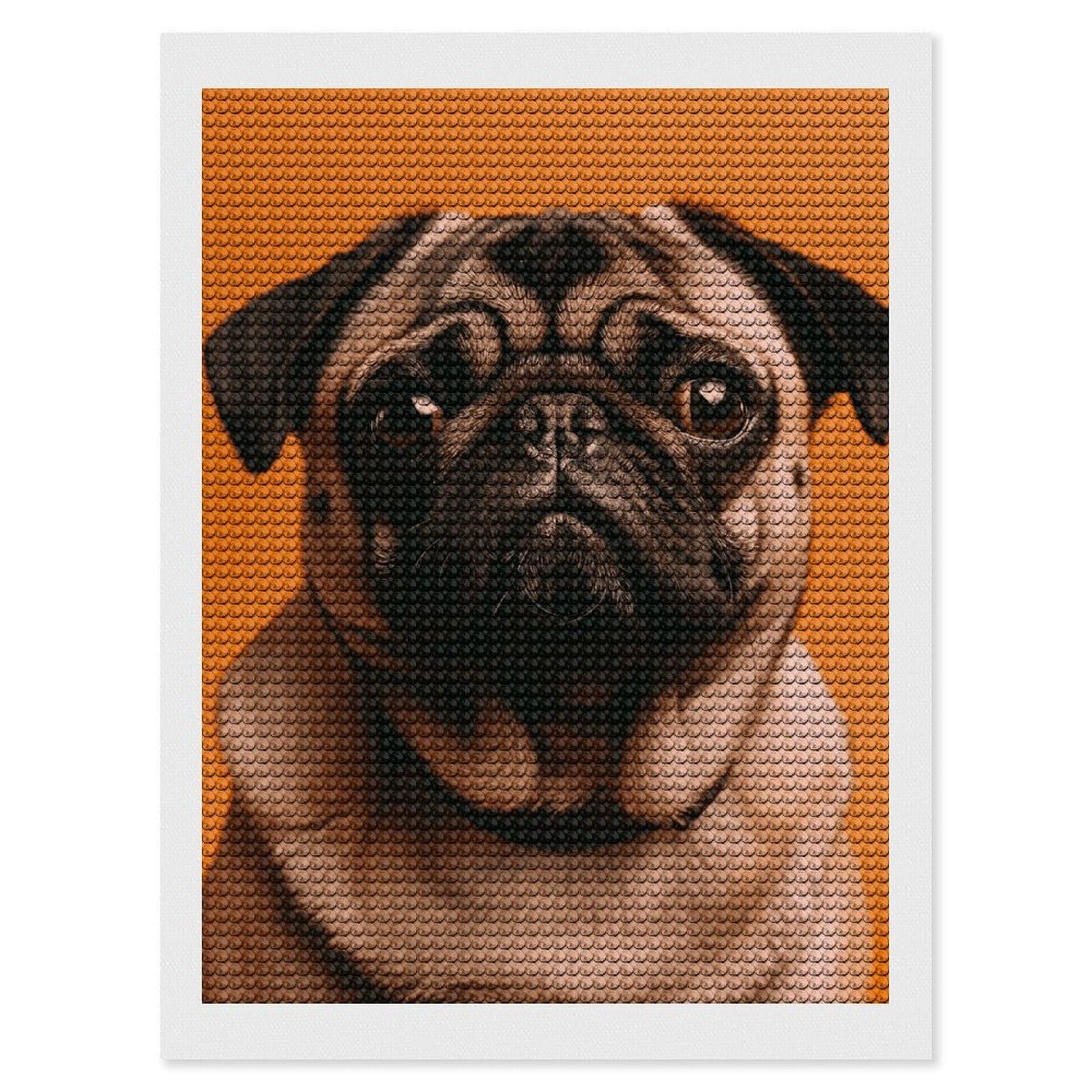 NONHAI Diamond Painting Kits for Adults - DIY Diamond Art Kits for Beginners - Full 5D Paint Drill Diamond Dots Paintings- A Pug Diamonds Pictures Gem Art and Craft Wall Decor 12"x16"