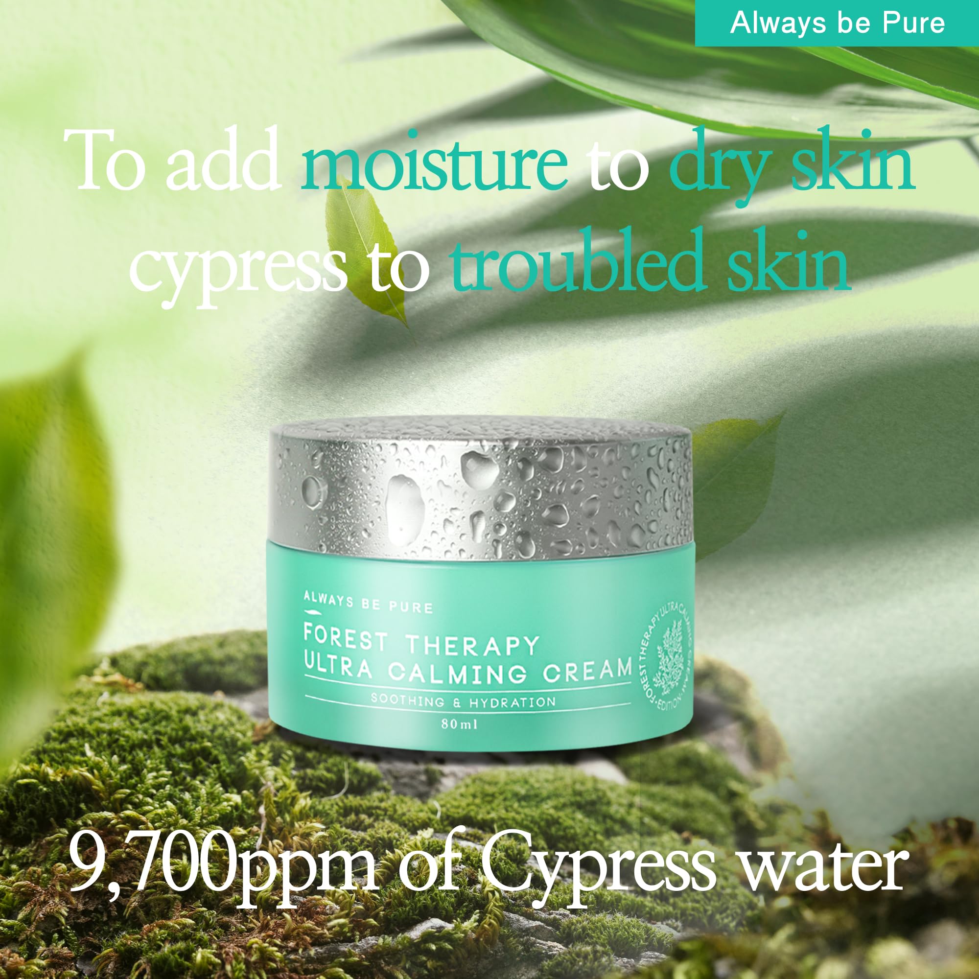 Amazon.com: ALWAYS BE PURE Forest Therapy Ultra Calming Cream