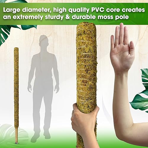 Miniatura 4 de DUSPRO Poste de musgo grande de 59 pulgadas para plantas Monstera, soporte alto para plantas de interior para grandes potos trepadores, tótem de