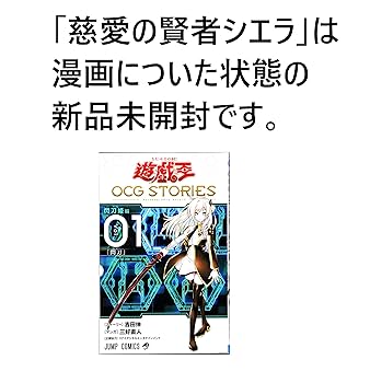 Amazon.co.jp: 慈愛の賢者 シエラ エルロン武の賢者-アーカス 智