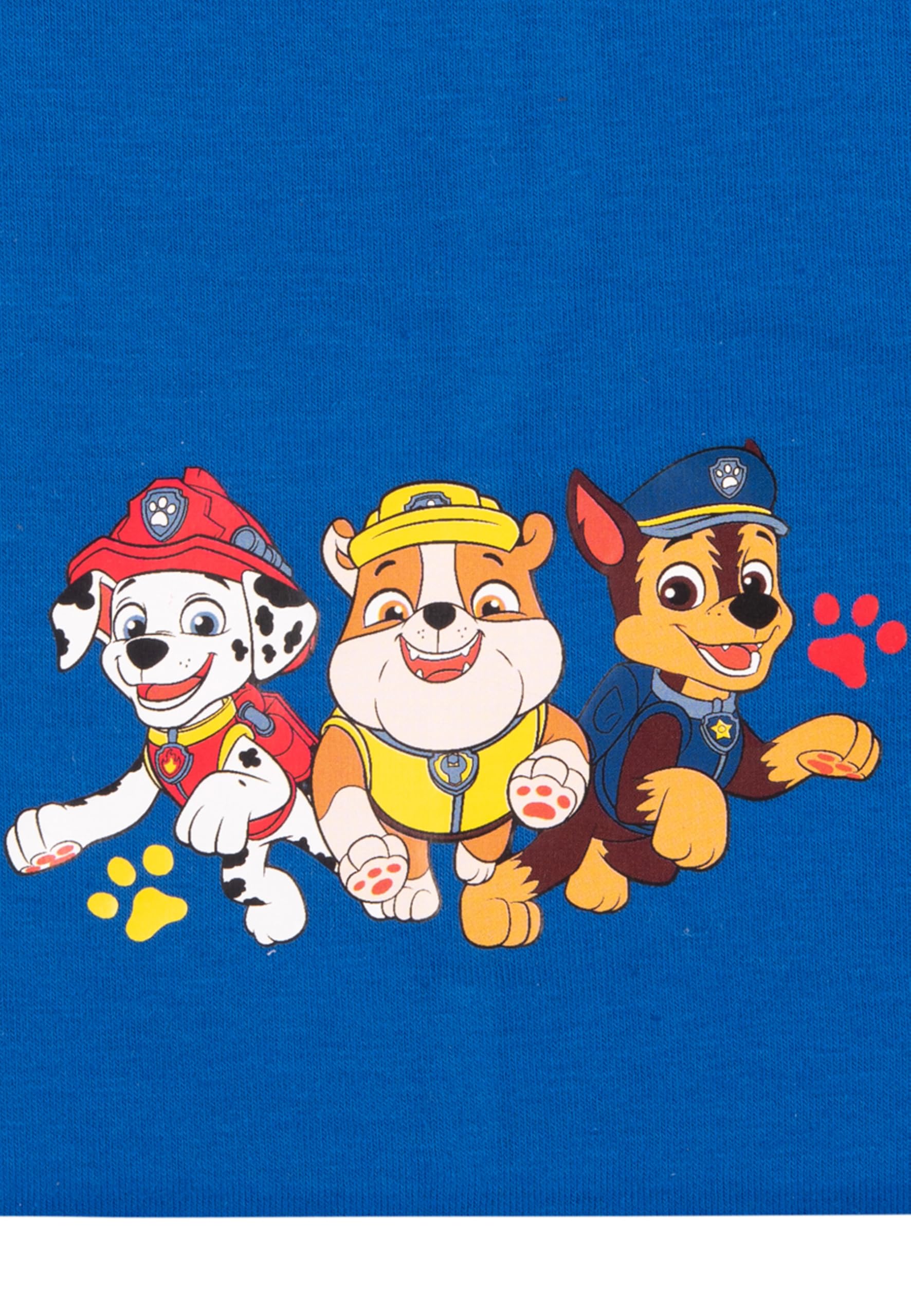Psi Patrol Beanie dla młodzieży - dziecięca czapka przejściowa czapka niebieska, niebieski, jeden rozmiar