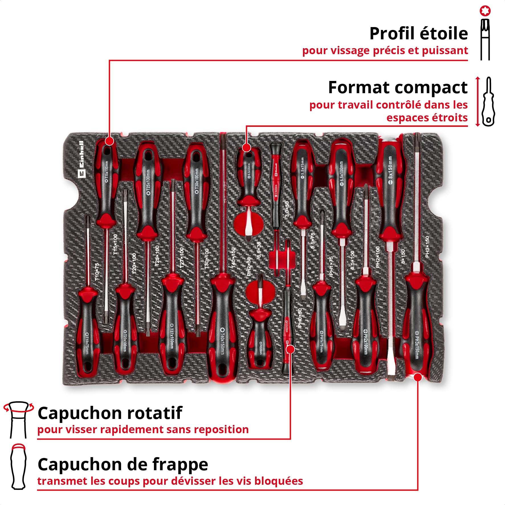 Einhell E-Case insert d’outils 17 pièces avec jeu de tournevis | Tournevis de réglage de carburateur | mécanique de précision | capuchon de frappe | profil Torx | acier CrV | système E-Case