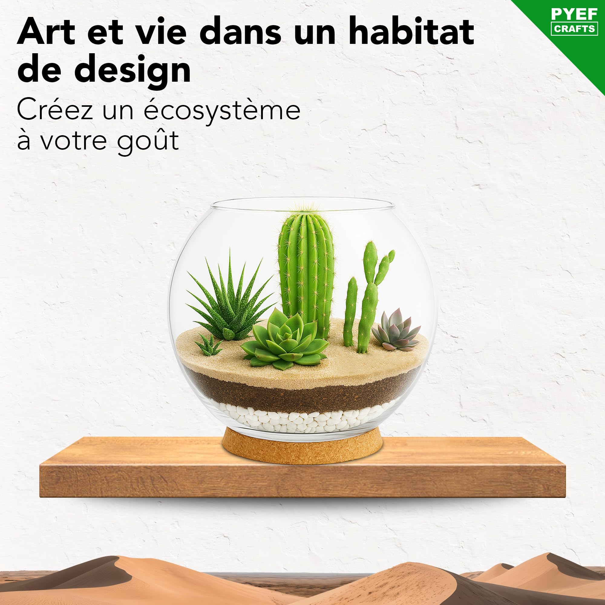Kit terrarium plantes succulentes et cactus DIY - Ecosystème désertique en verre - Aquarium naturel pour plantes souches et cactus - Jardin éternel