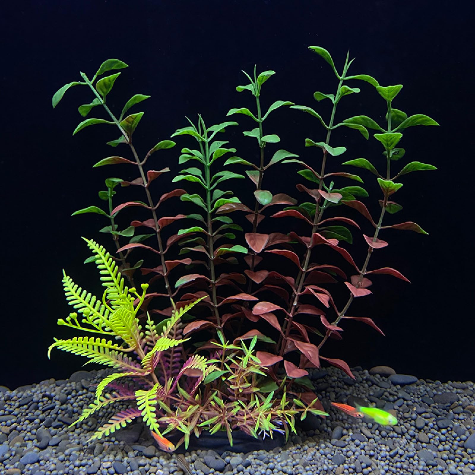 Adornos Artificiales de plástico for Plantas acuáticas, Accesorios simulación for pecera, 3 Piezas F