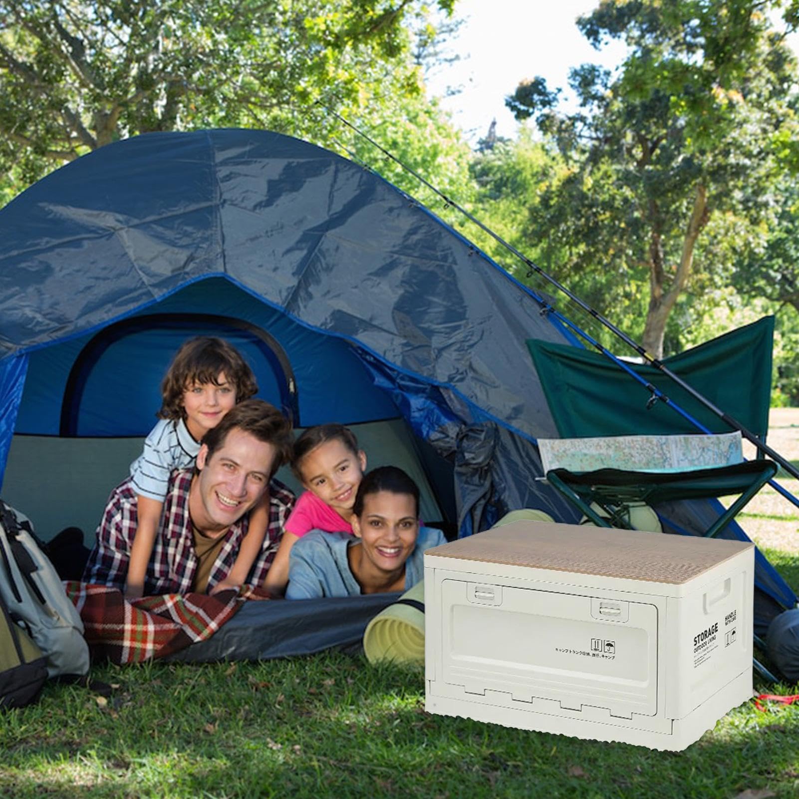 Contenitore pieghevole con coperchio in legno, 50 l, comprimibile, portatile | Organizer pieghevole salvaspazio portatile per libri, snack, casa