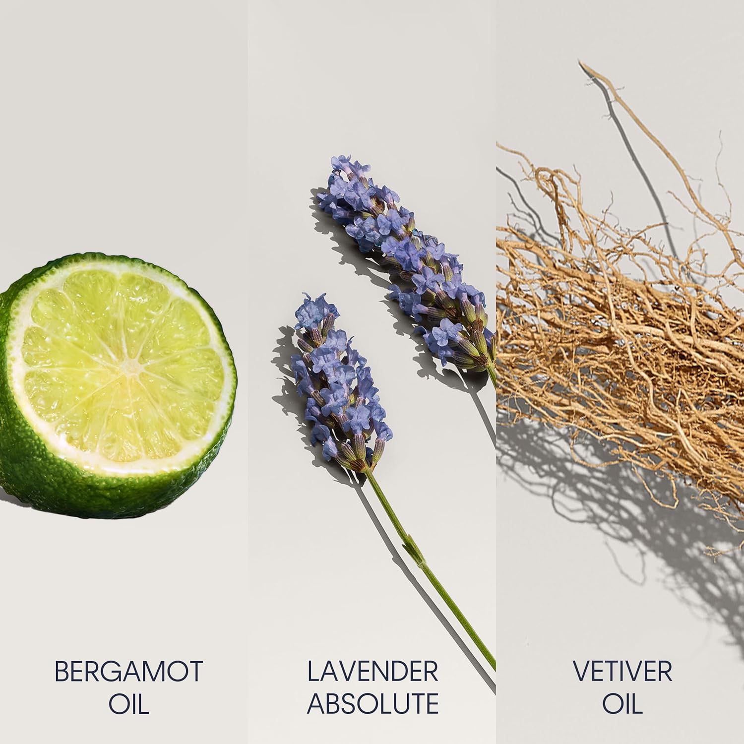 Calvin Klein Defy Eau de Toilette – Woody Men's Cologne – With Notes of Bergamot Oil, Lavender Absolute & Vetiver Oil – Long Lasting Fragrance